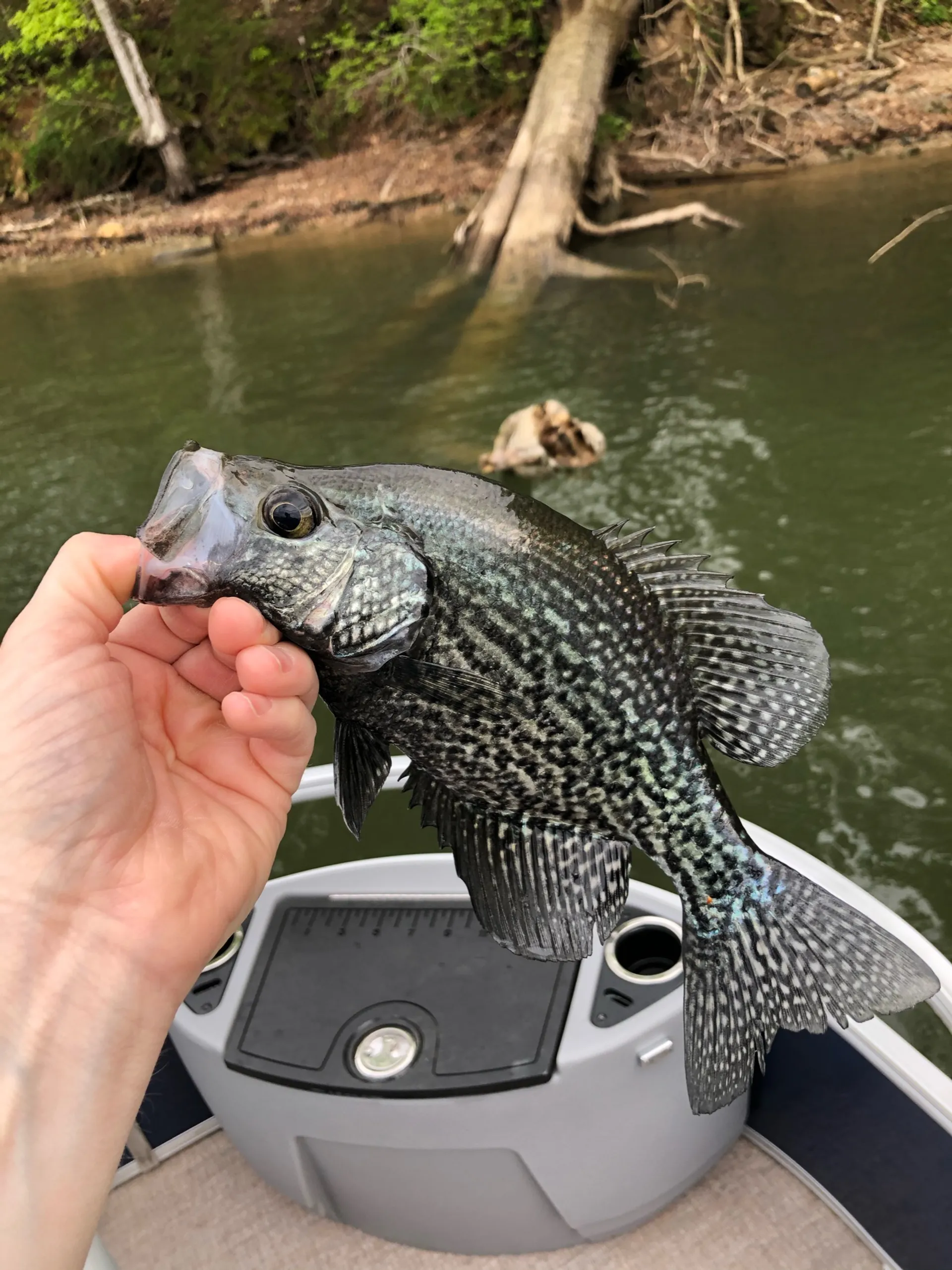 Ranger Pontoon For Fishing or Tubing!!