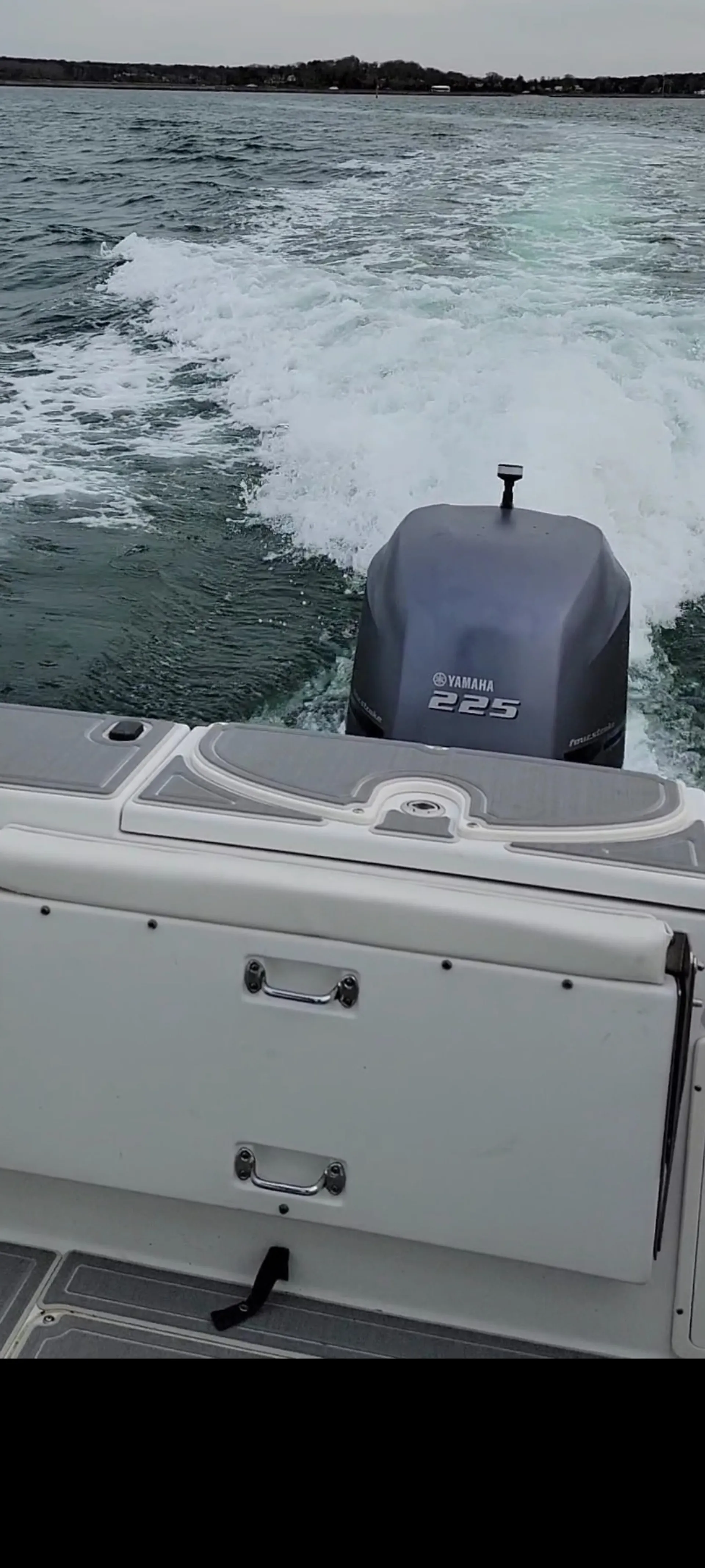 Seaswirl Boats 2301 DC Striper  in Oak Bluffs, MA — photo 4