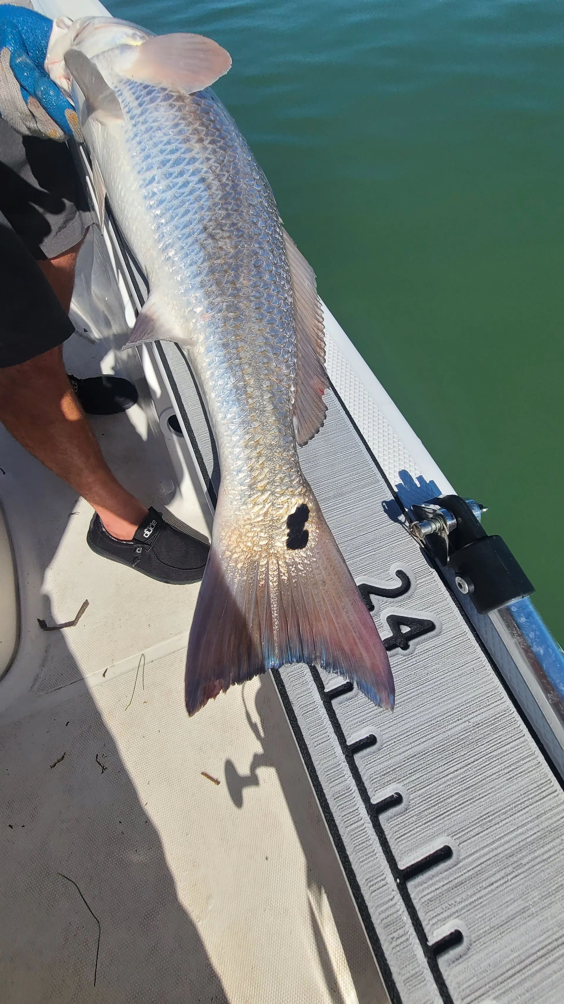 Wellcraft 180 Fisherman w/F115HP in Cape Coral, FL — photo 6