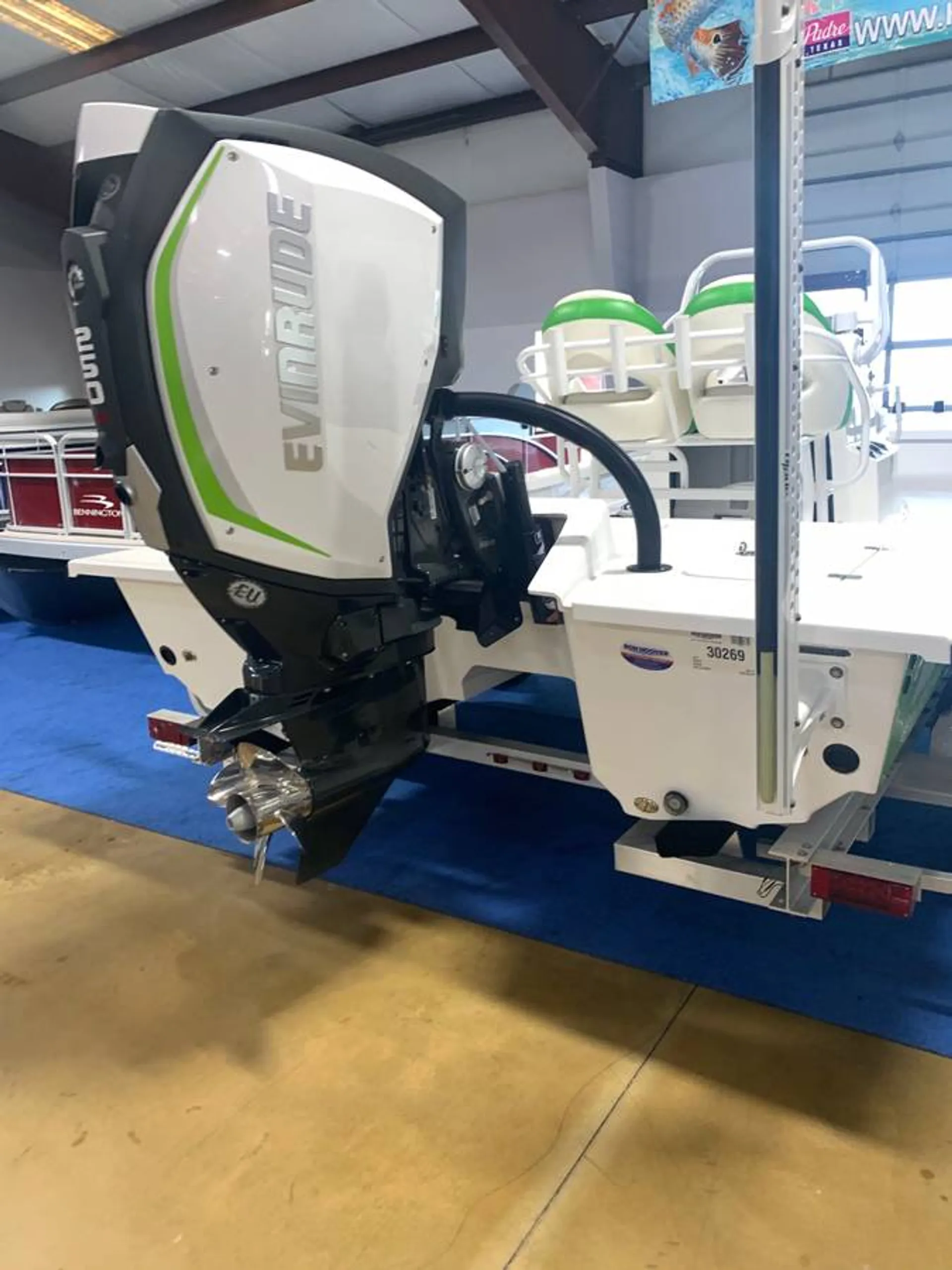 Our lovely Olive Oyl