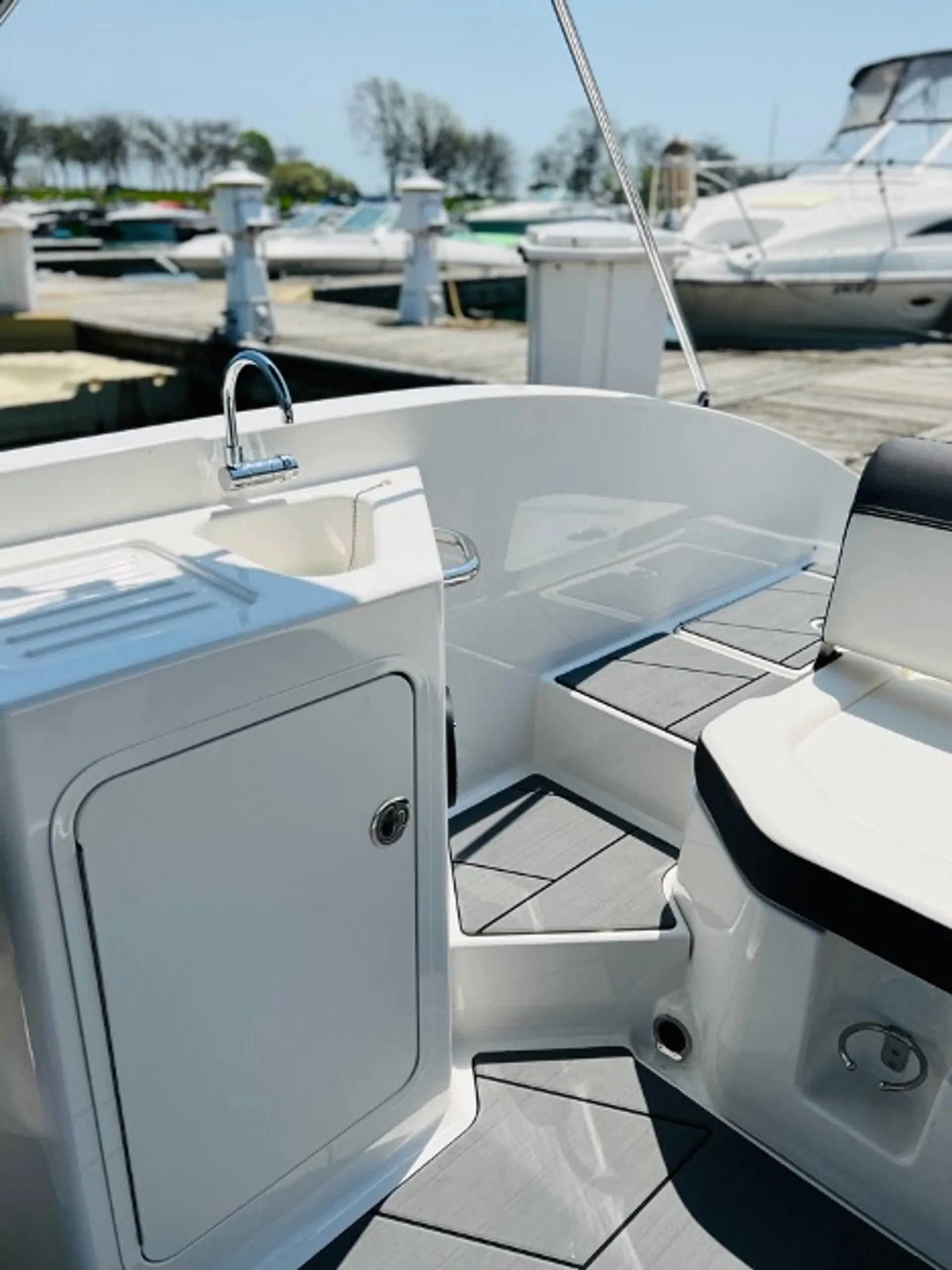 Bayliner DX2250 in Chicago, IL — photo 4