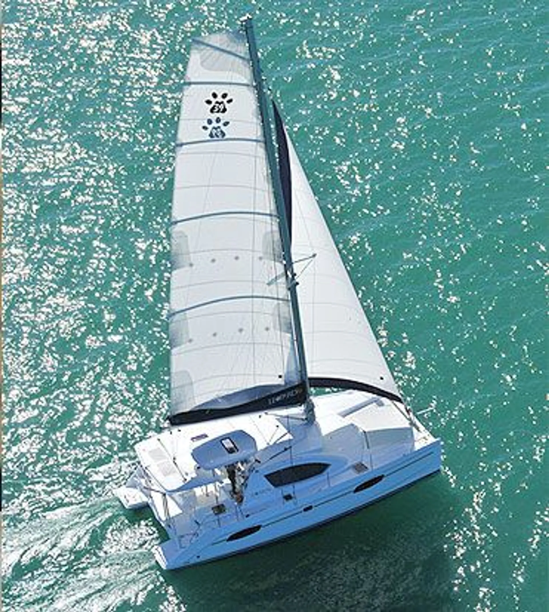 Luxury Sailing Catamaran in Brickell