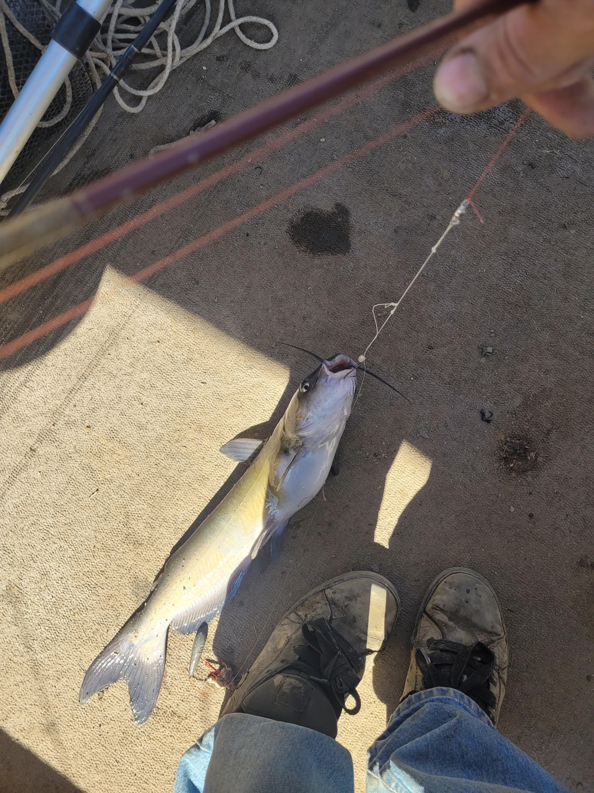 Crest Pontoons 25 Crest II Dlx. in Jamestown, CA — photo 6