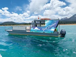 "Vivid Dreams" Party Boat for Up to 35 Passengers boat photo