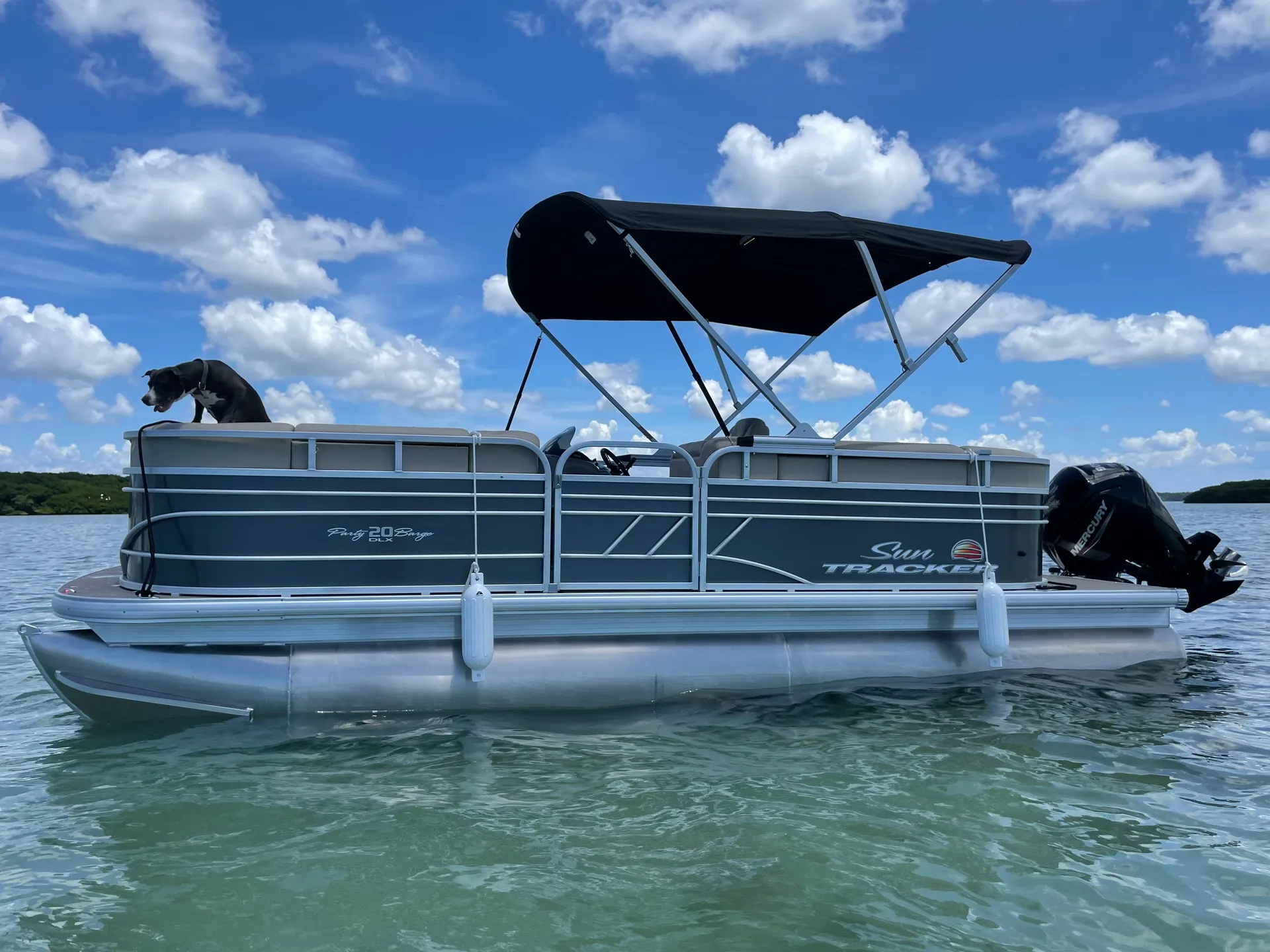 PONTOON DOLPHIN CRUISE ISLAND HOP BEACH FUN