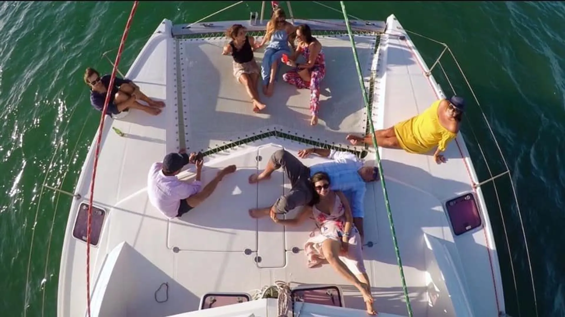 Robertson & Caine Leopard in Miami, FL — photo 9