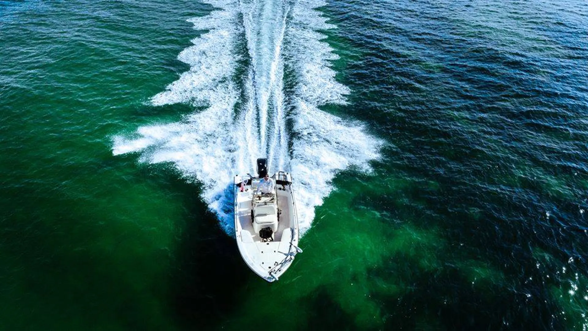 Tampa Bay Fishing Boat Bay in Tampa, FL — photo 7