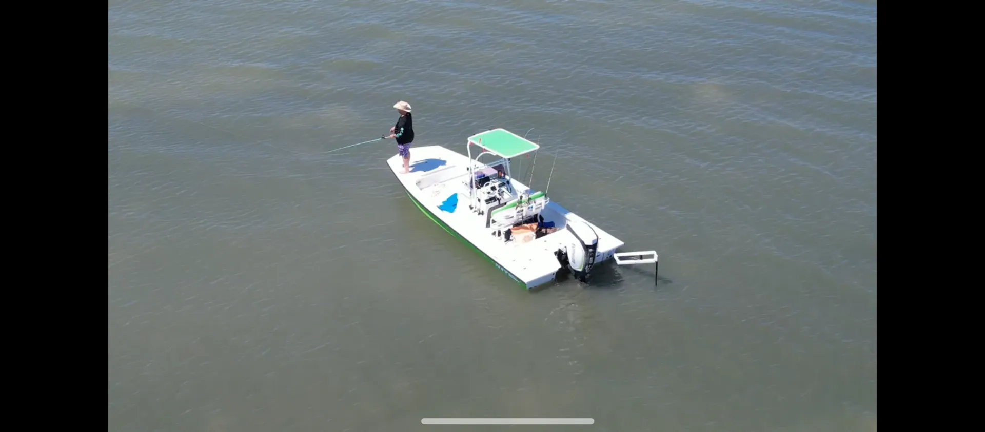 Our lovely Olive Oyl