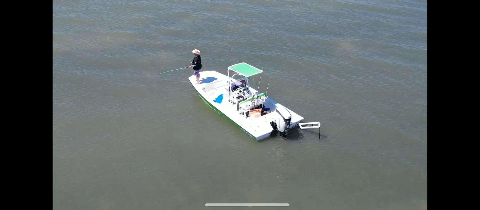 Our lovely Olive Oyl