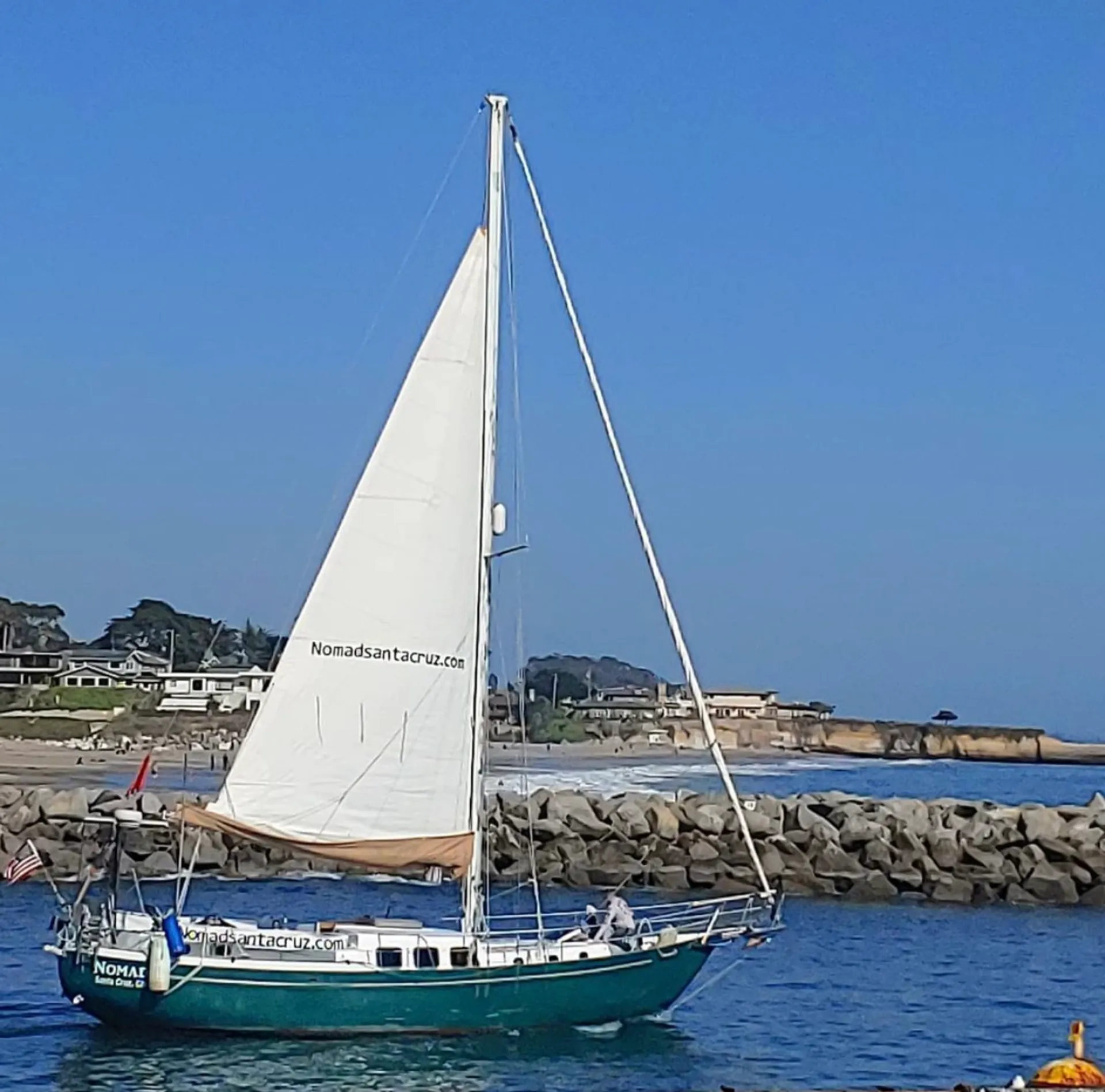 Wildlife Sailing Tour on the Monterey Bay
