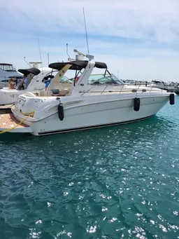 40ft Sea Ray Motor Yacht – Chicago Summer Madness Party Cruise boat photo