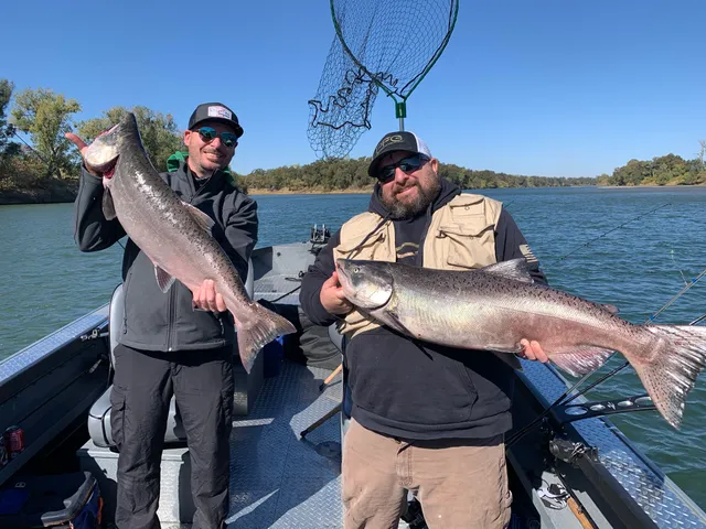 Rent a ALUMAWELD BOATS aluminum fishing in Rio Linda, CA near me