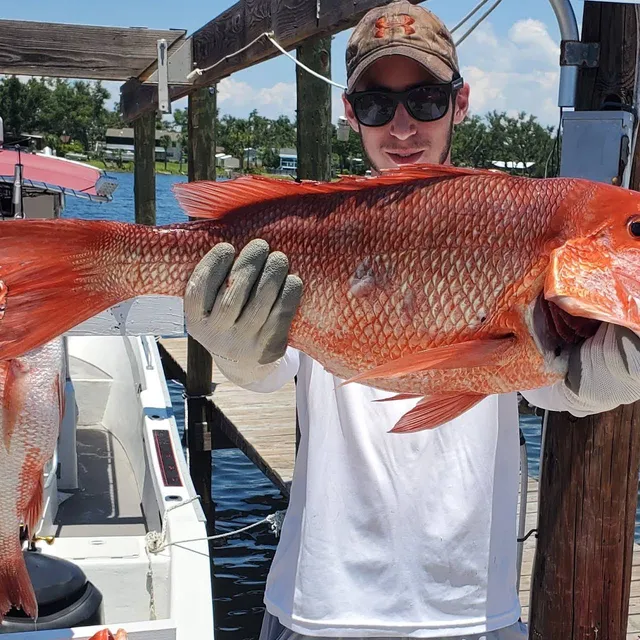 Rent a Cape Cod center console in Panama City, FL near me