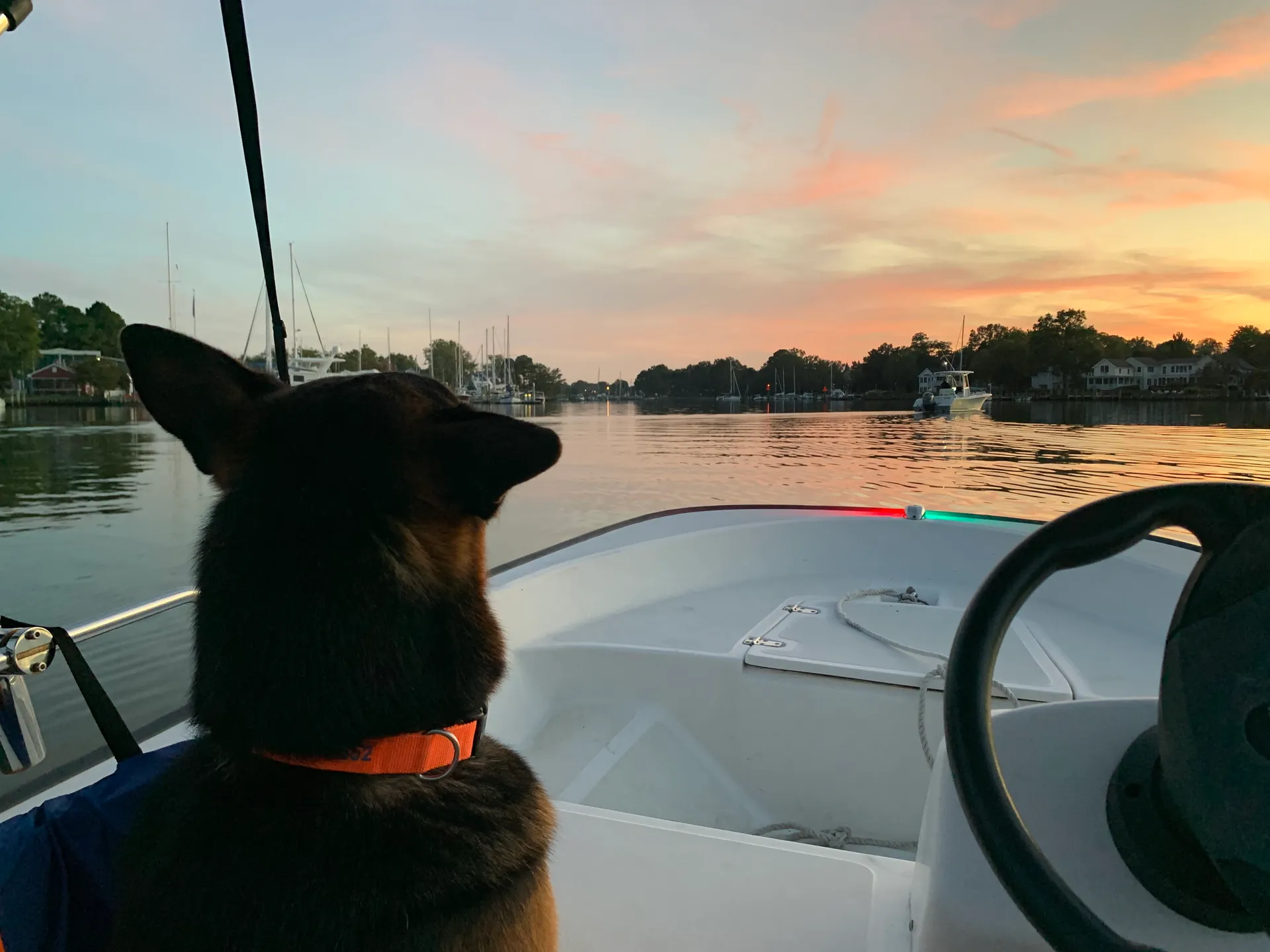 Boston Whaler 13 Sport  in Oxford, MD — photo 5