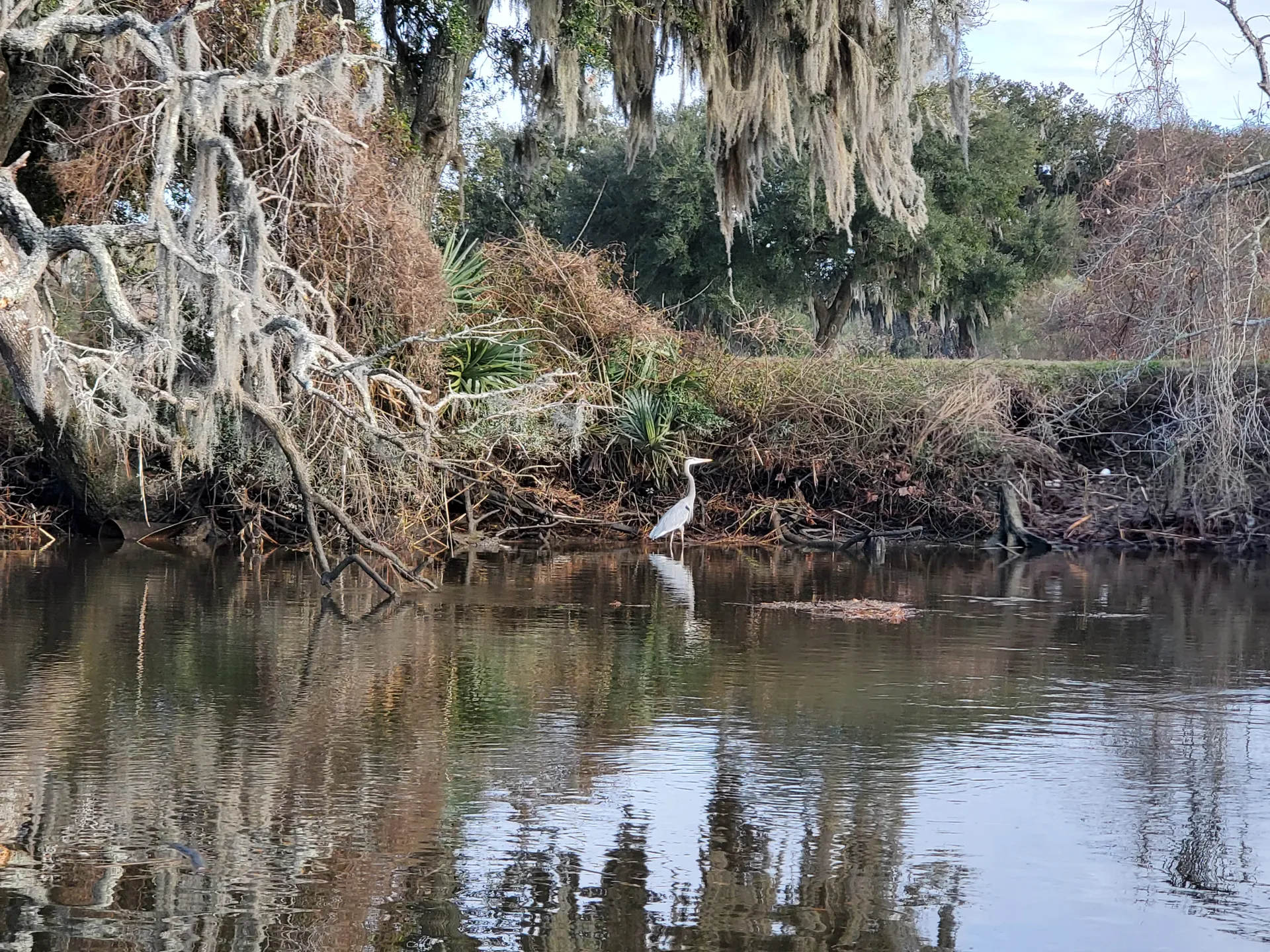 Private Charters up to 7 guests!