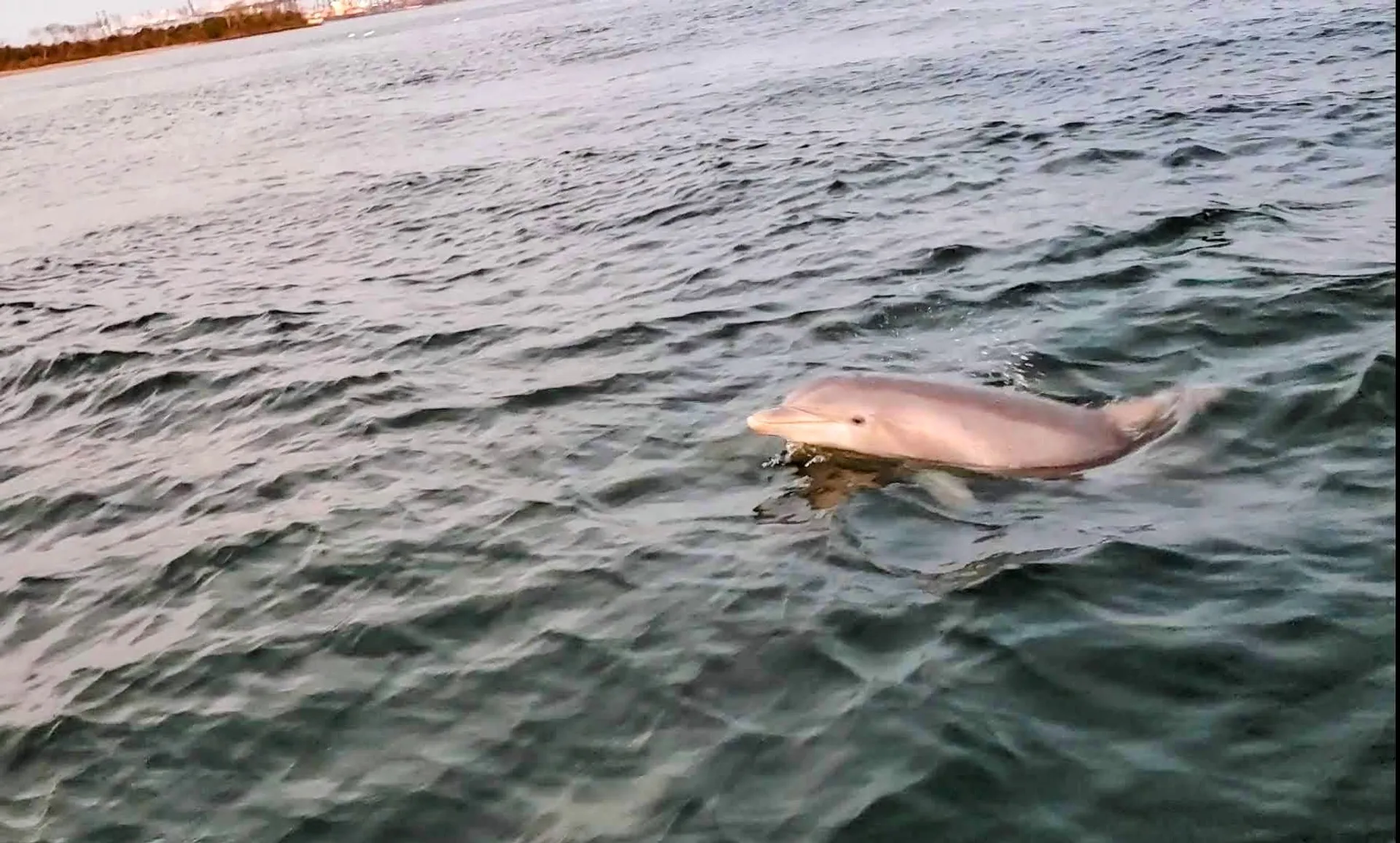 Private Charters up to 7 guests!