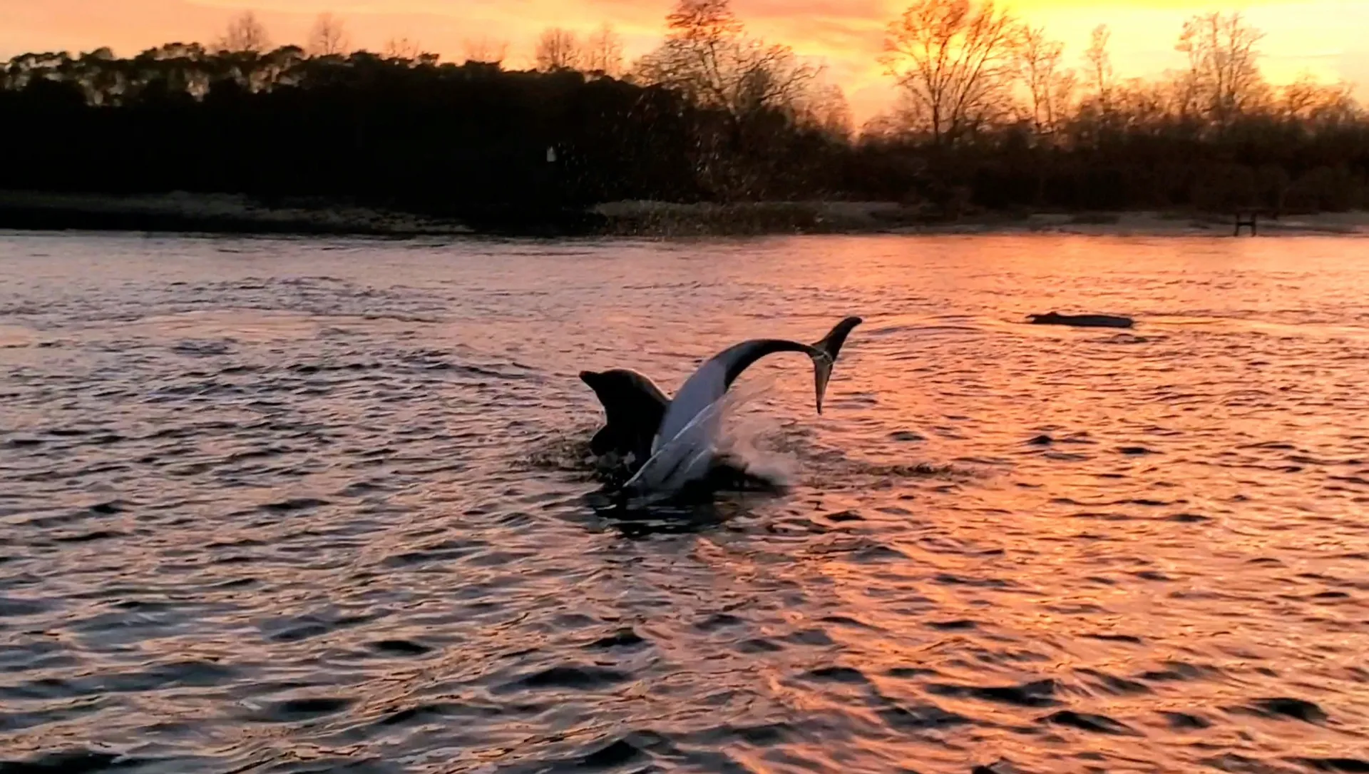 Private Charters up to 7 guests!