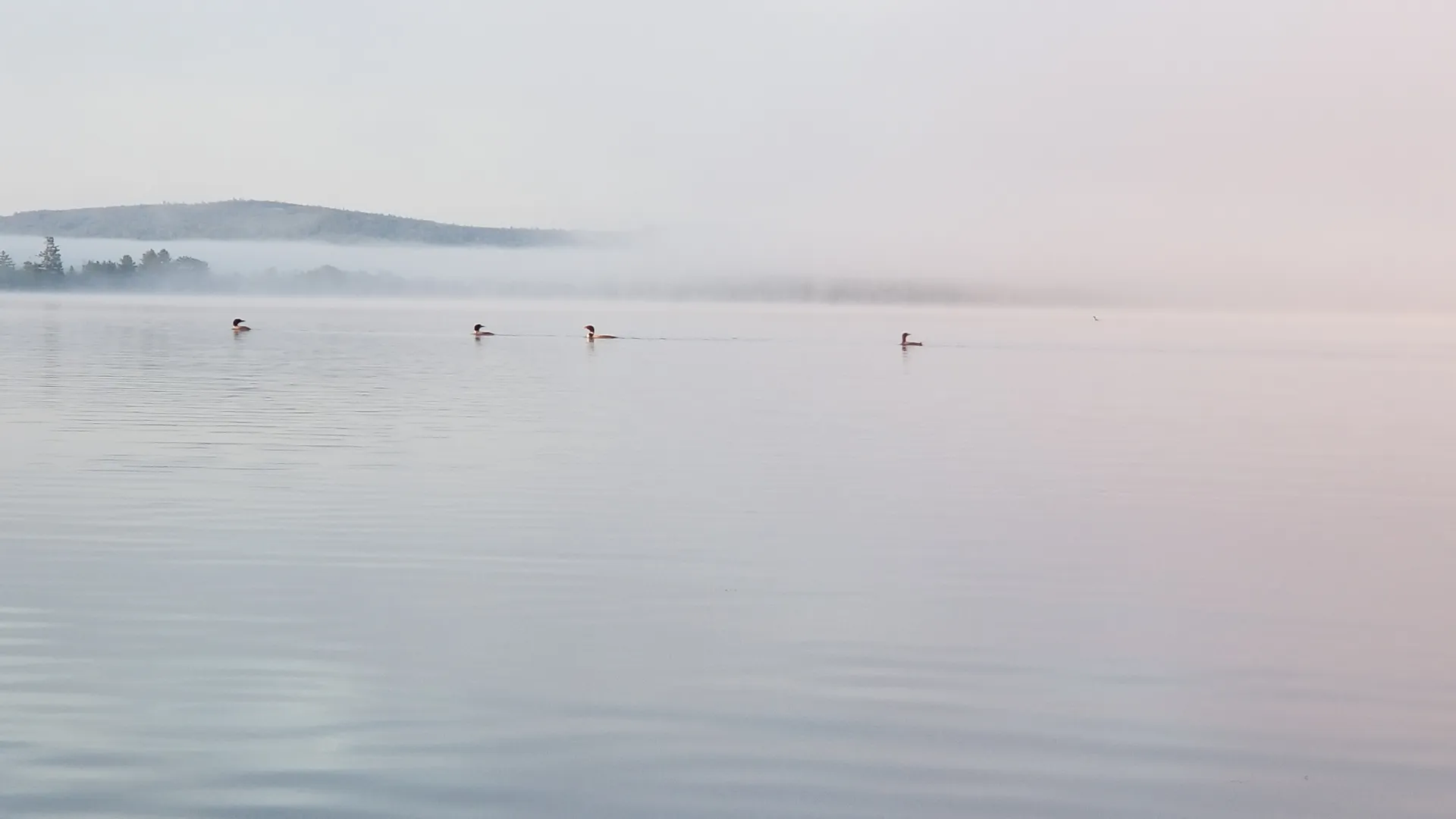 Crest Pontoons Crest 200 SLC in Ossipee, NH — photo 5