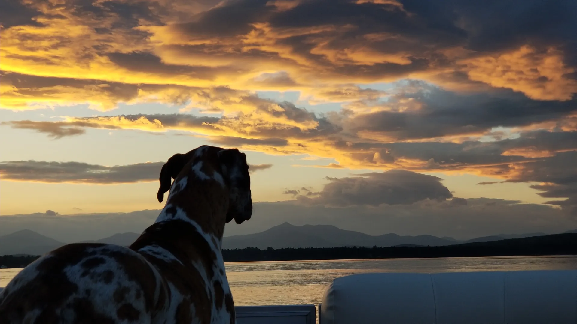 Crest Pontoons Crest 200 SLC in Ossipee, NH — photo 8