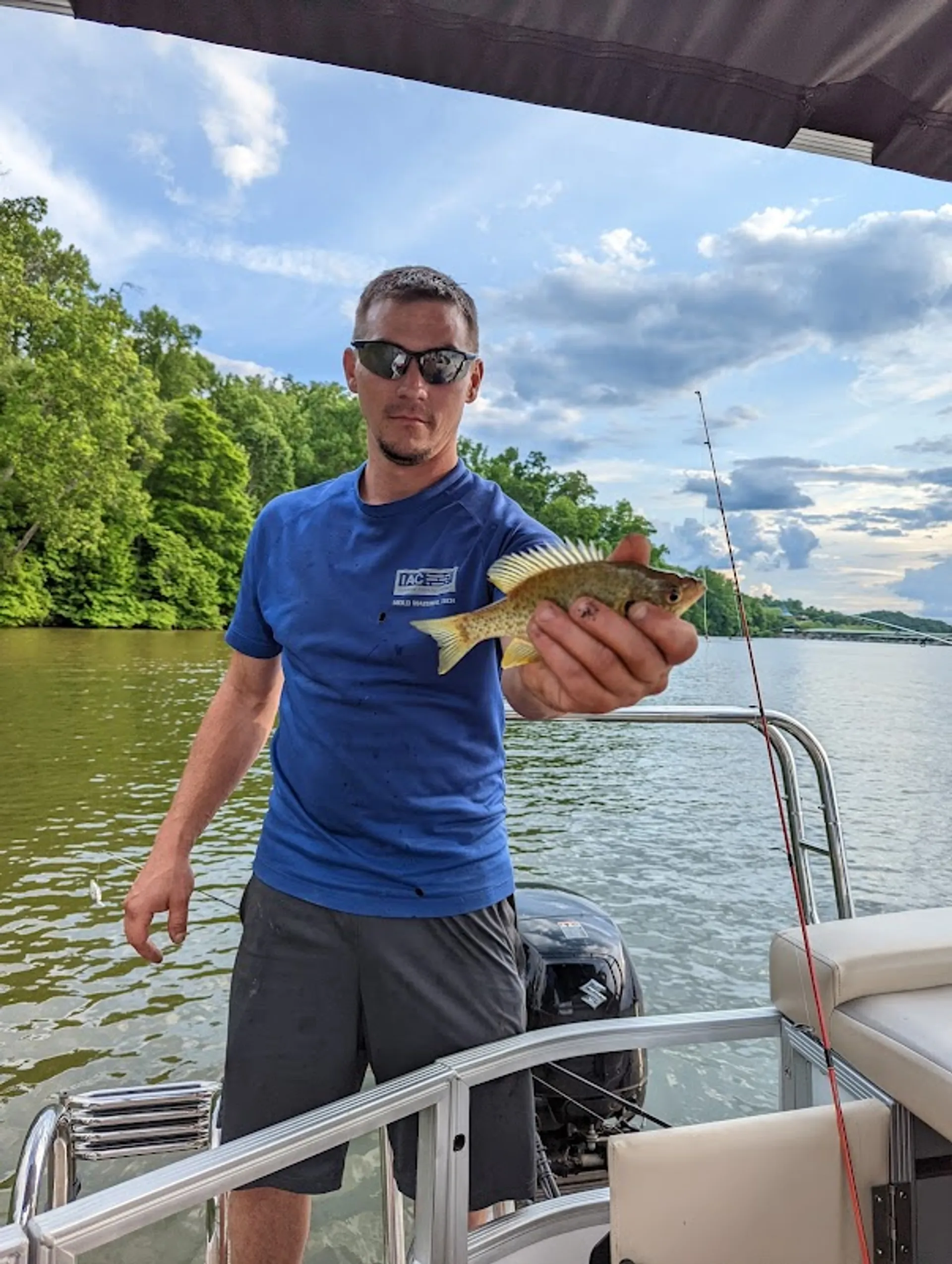 Other Lexington 319 in Friendsville, TN — photo 9