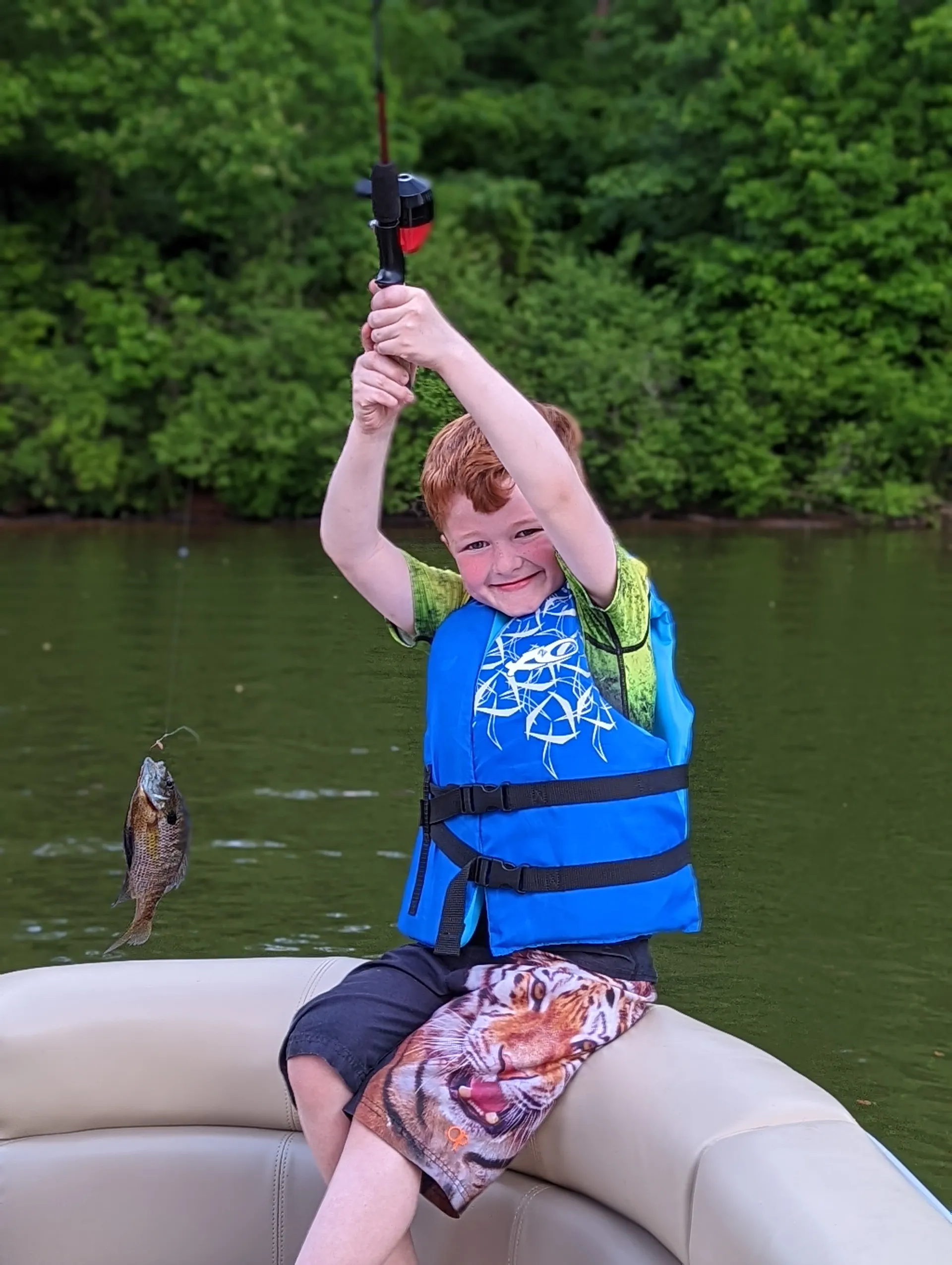 Other Lexington 319 in Friendsville, TN — photo 2