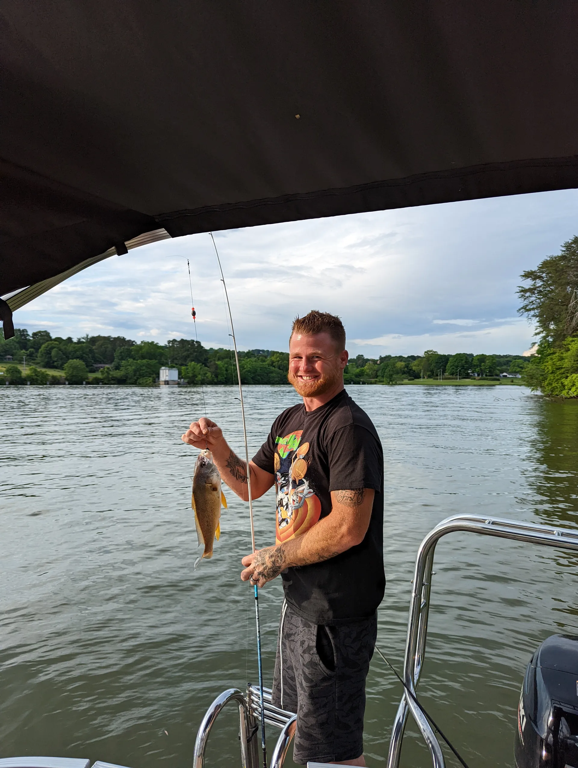 Other Lexington 319 in Friendsville, TN — photo 10