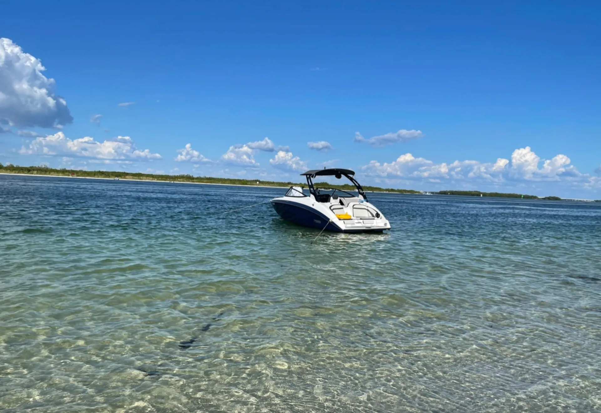 YAMAHA 242 LIMITED S W/TRAILER in Tampa, FL — photo 2