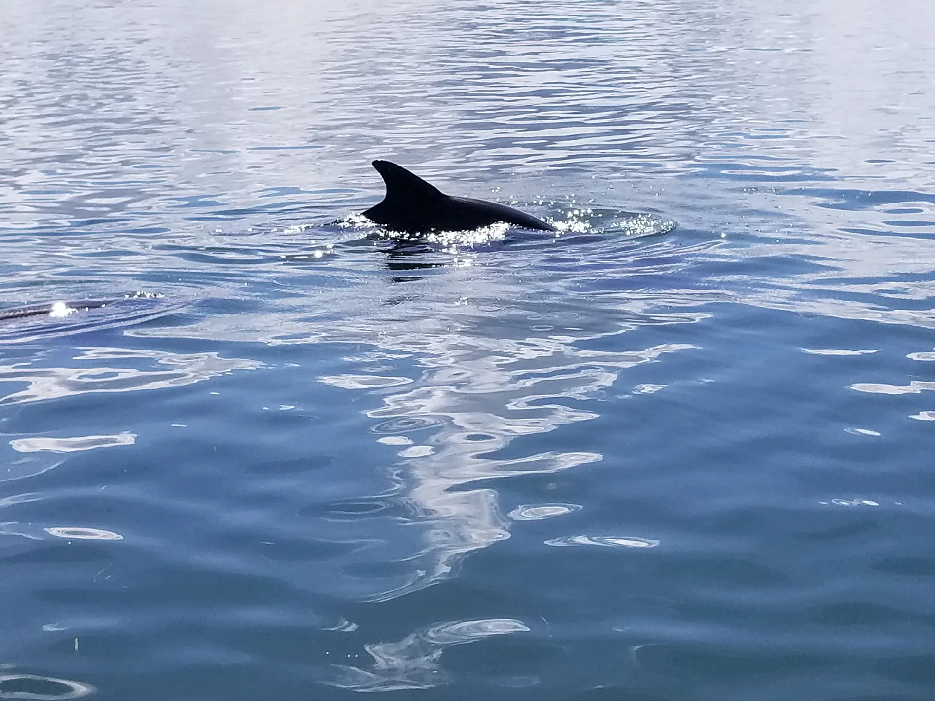 2022 Hurricane deck boat perfect  for the family.