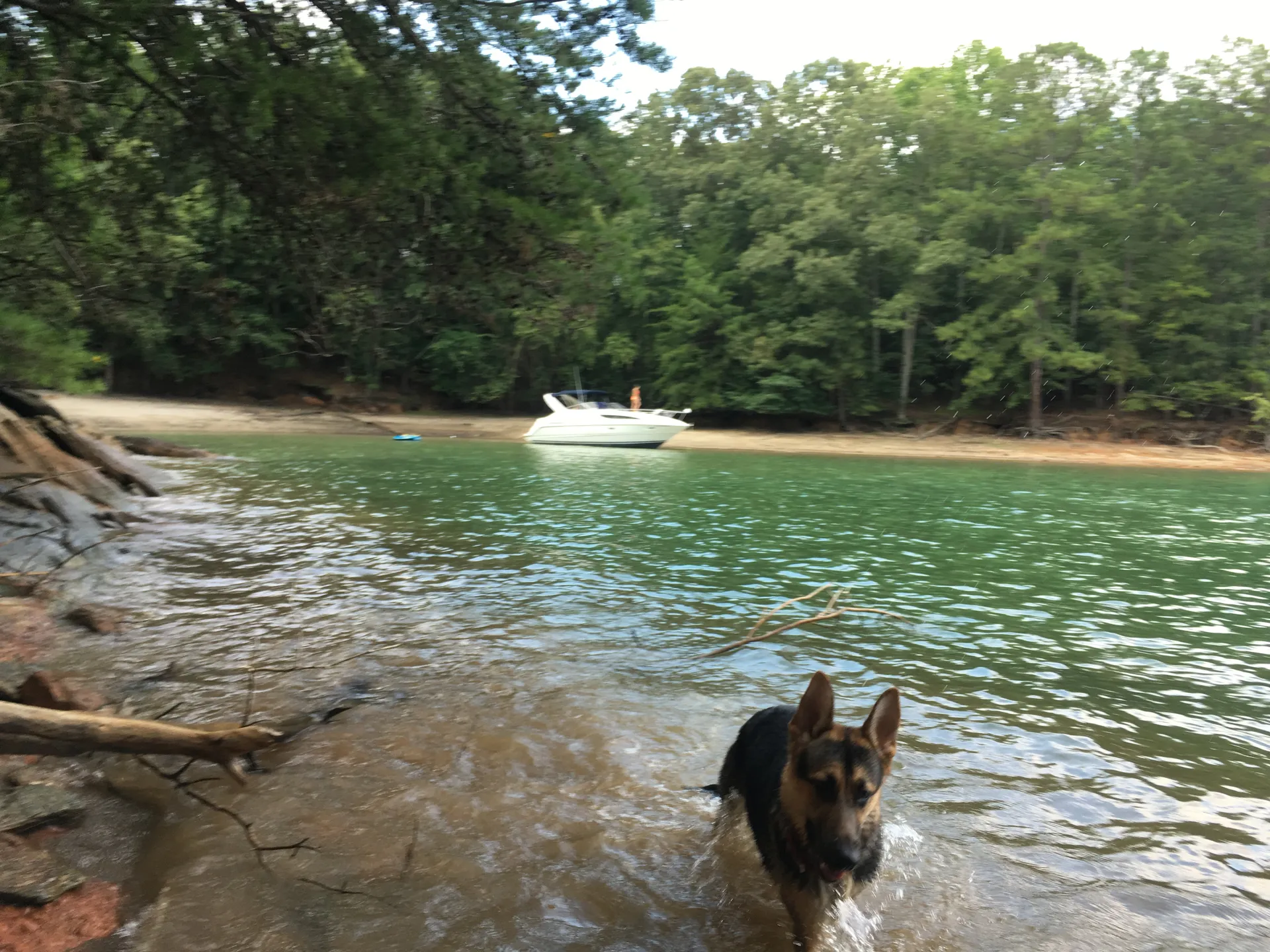 Bayliner IO1089748 in Buford, GA — photo 3
