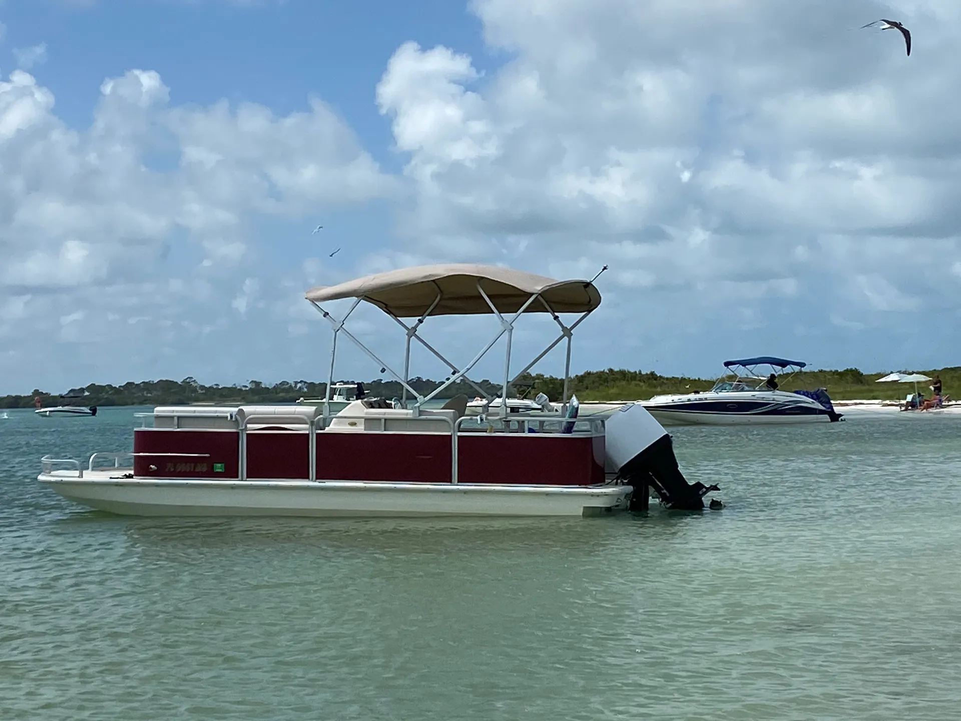 Sylvan Marine 2230 Space Ship in Clearwater, FL — photo 2
