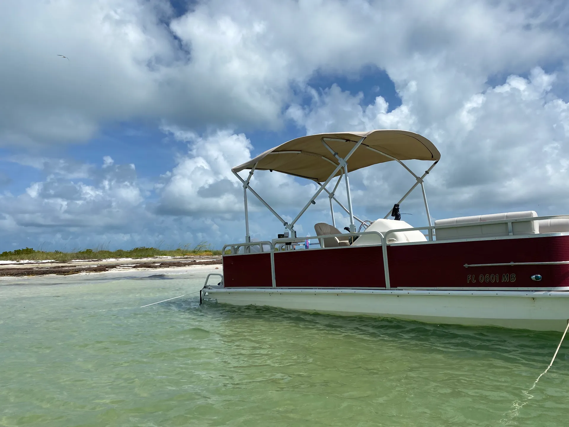 Sylvan Marine 2230 Space Ship in Clearwater, FL — photo 3