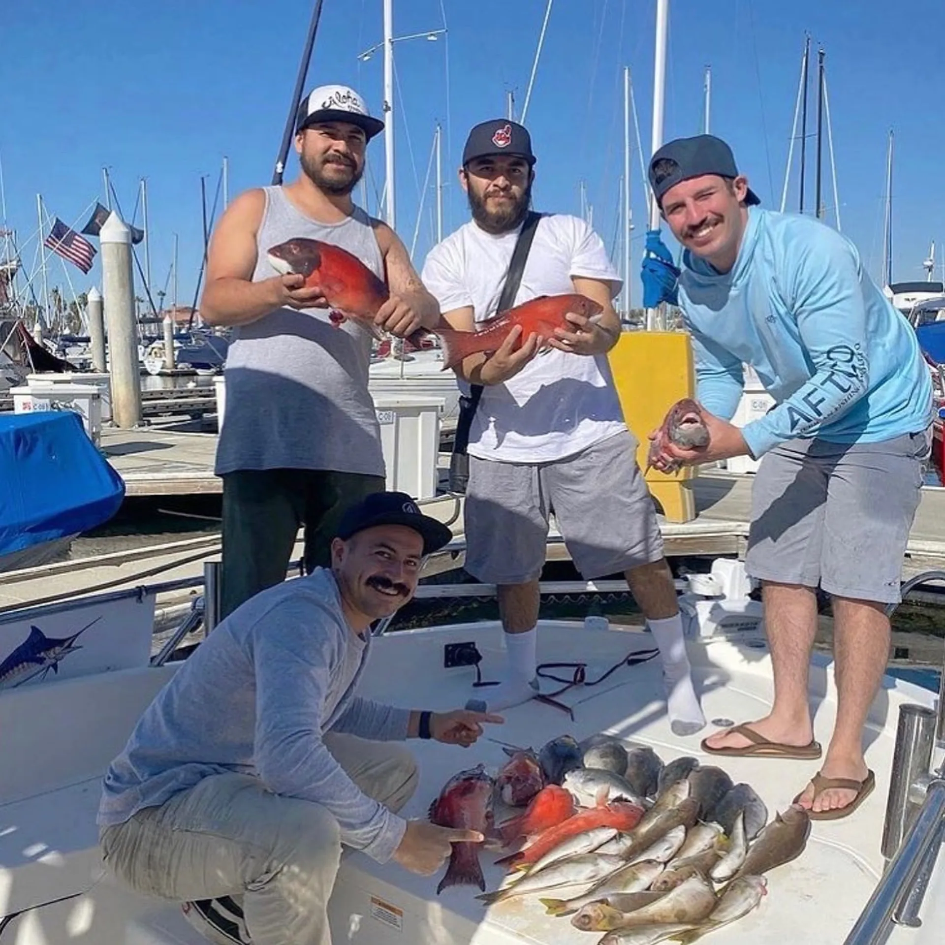 BAYLINER ELEMENT E21 in Los Angeles, CA — photo 10