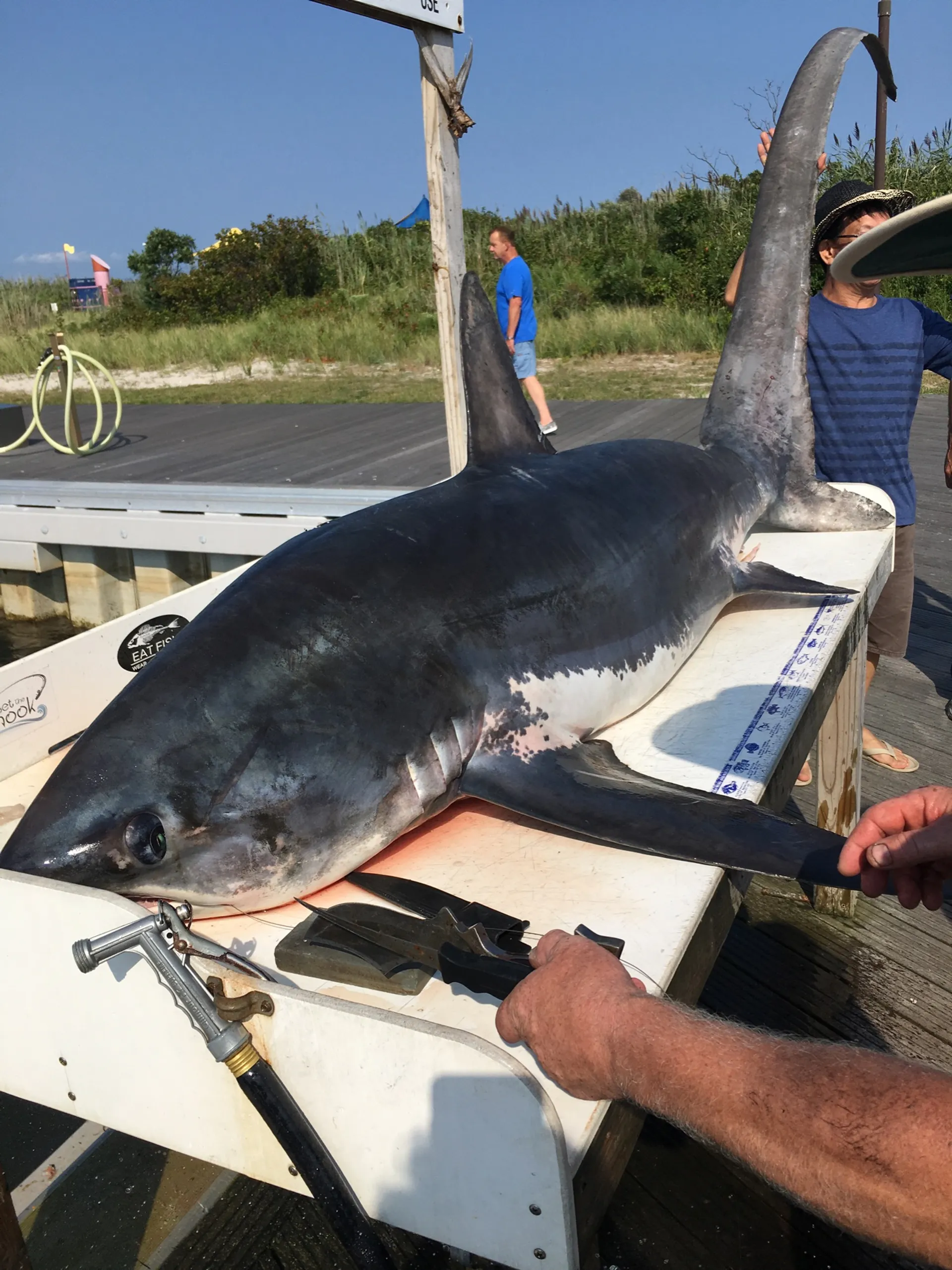 36 ft ProKat inshore & offshore fishing charters