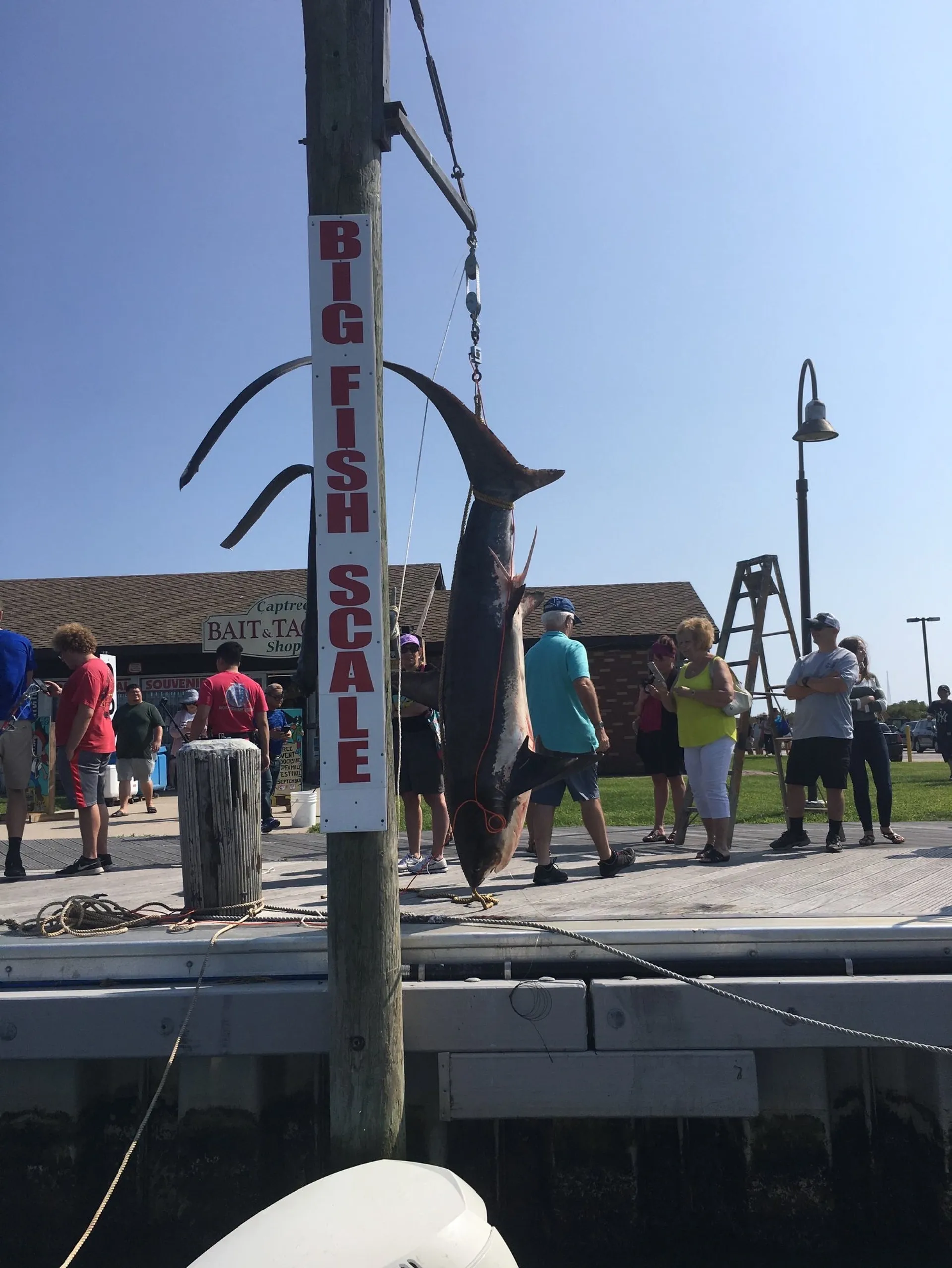 36 ft ProKat inshore & offshore fishing charters