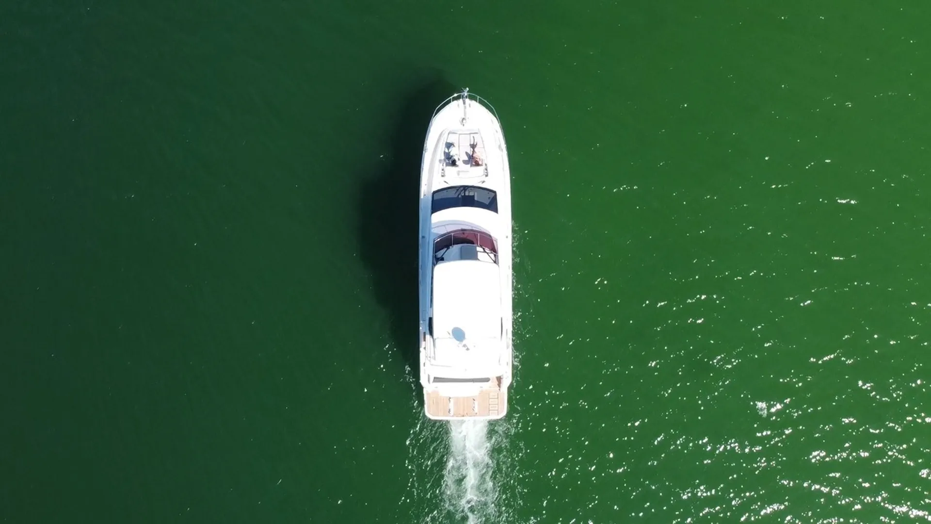 Prestige Other in Sarasota, FL — photo 8