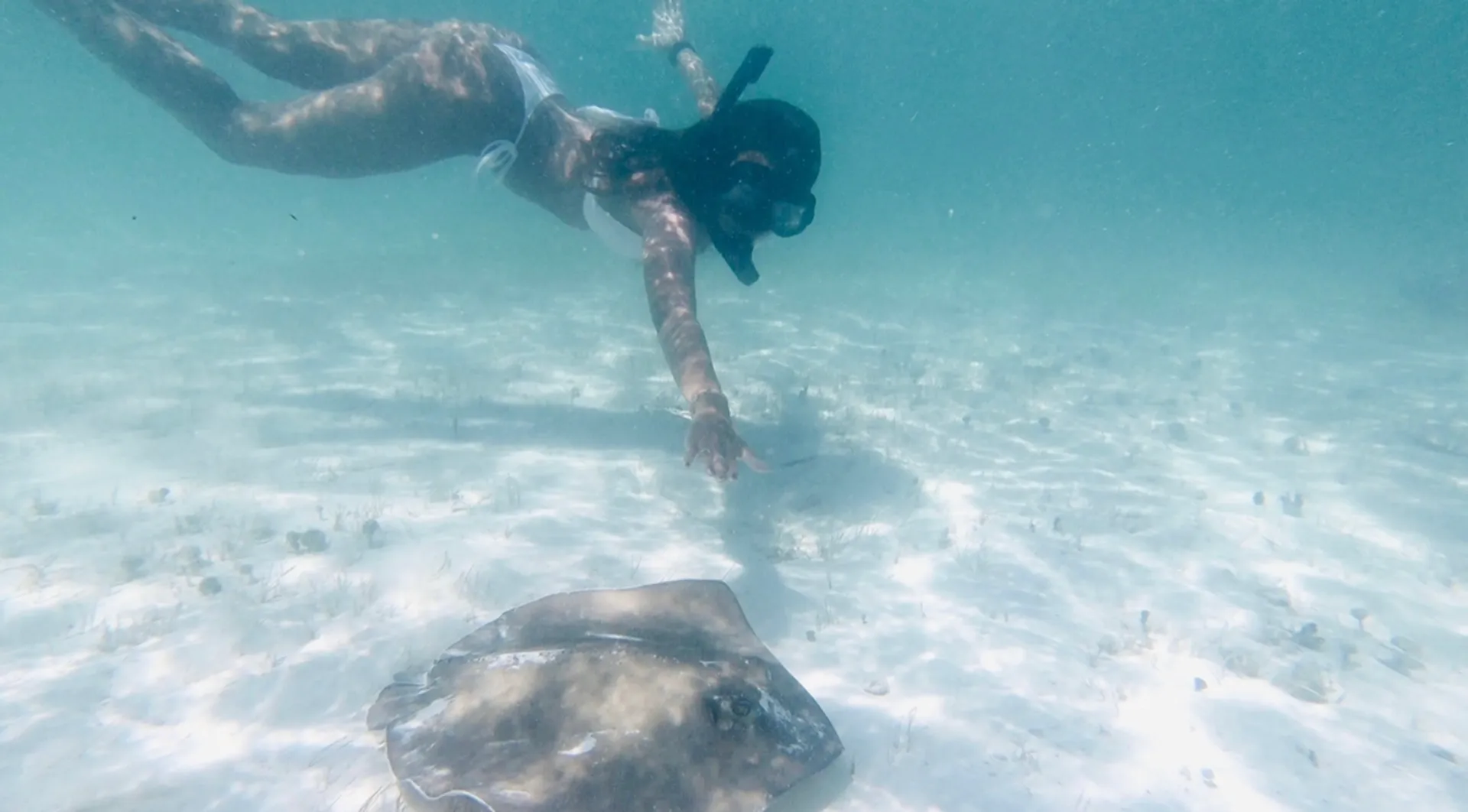 Islamorada Sandbar, Snorkel, Sunset & Sight Tours