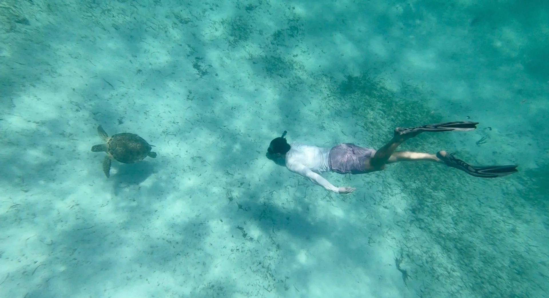 Islamorada Sandbar, Snorkel, Sunset & Sight Tours