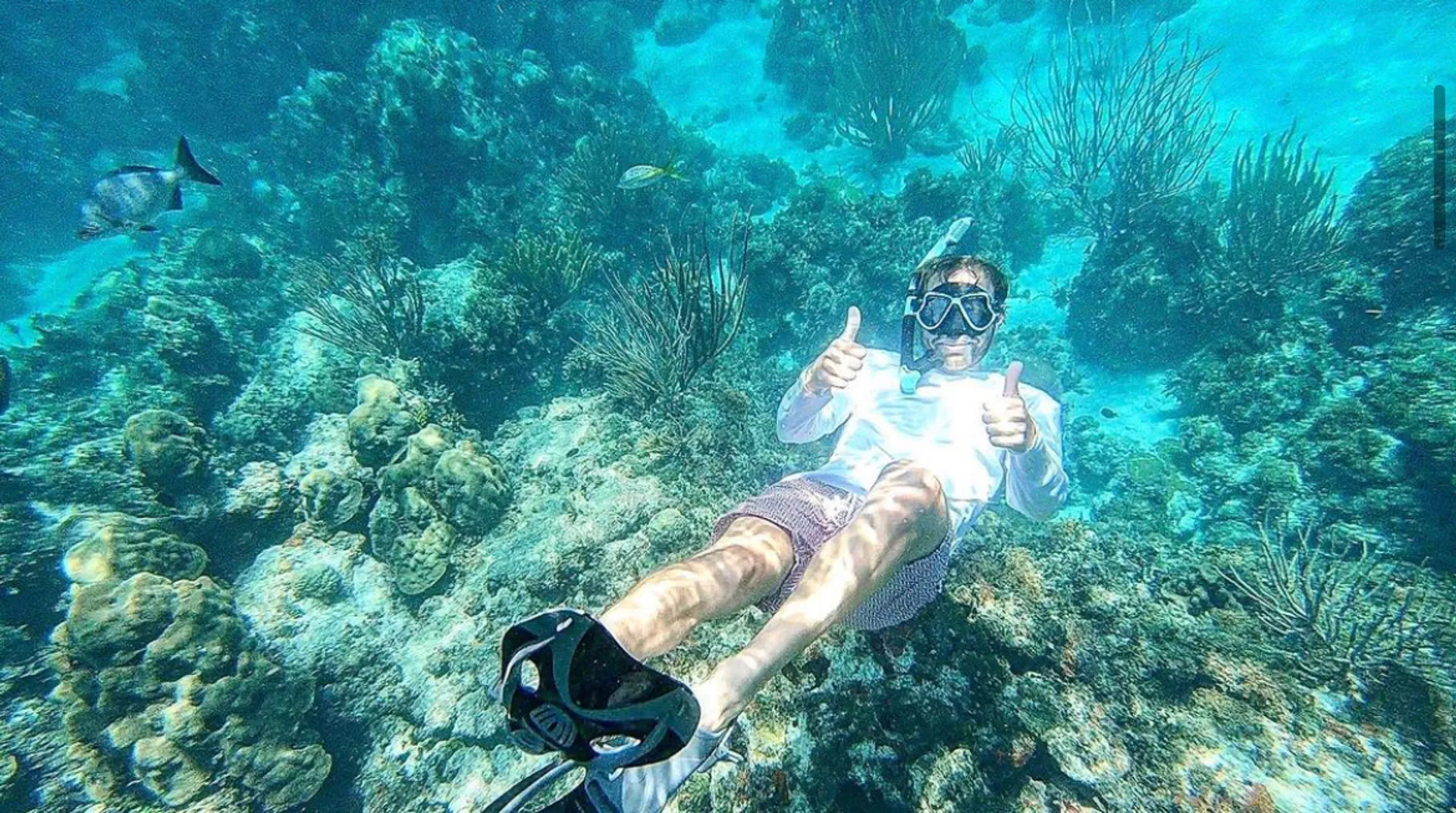 Islamorada Sandbar, Snorkel, Sunset & Sight Tours