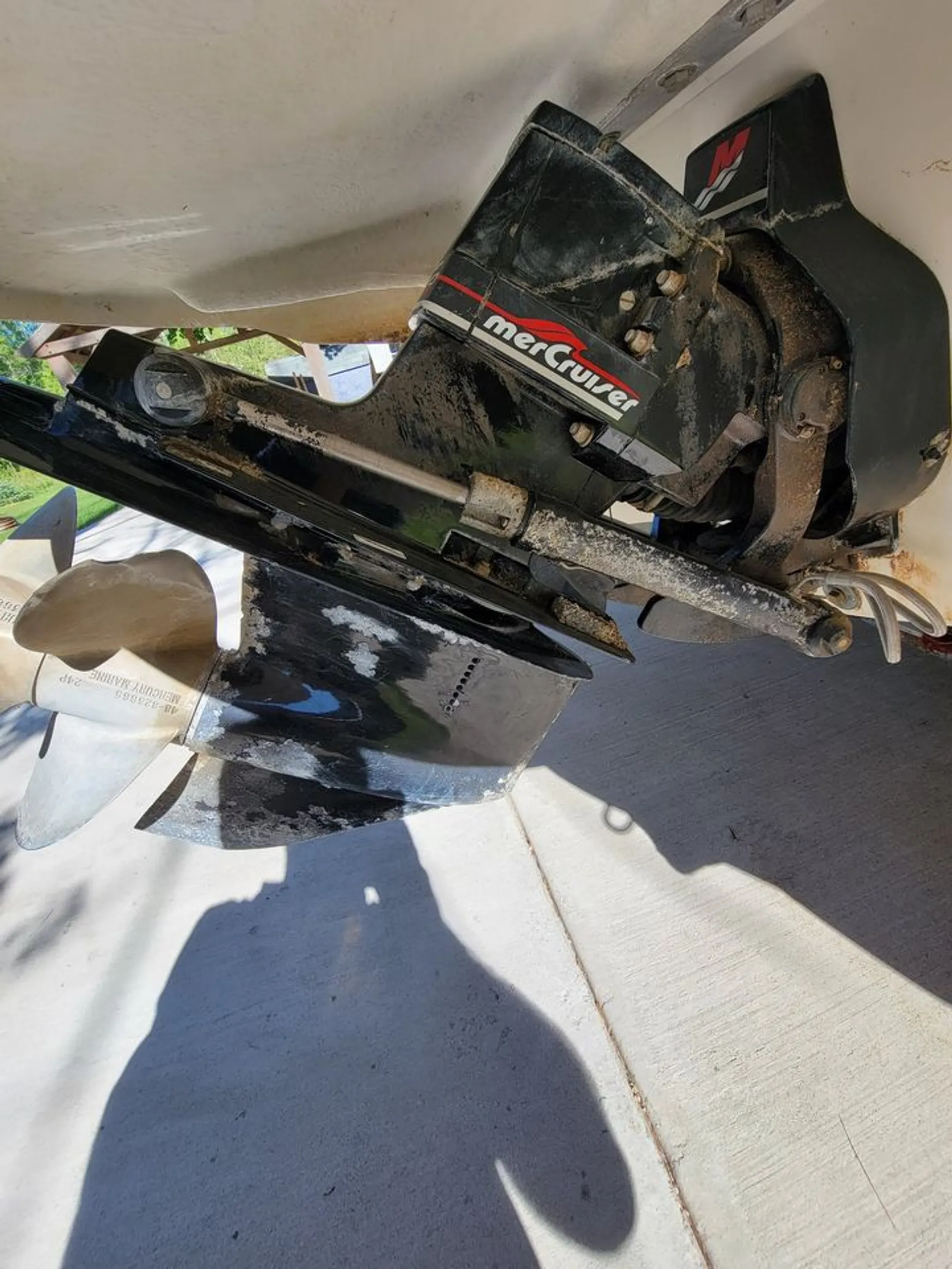 Sea Ray Boats 210 Sundeck in Boyne City, MI — photo 3