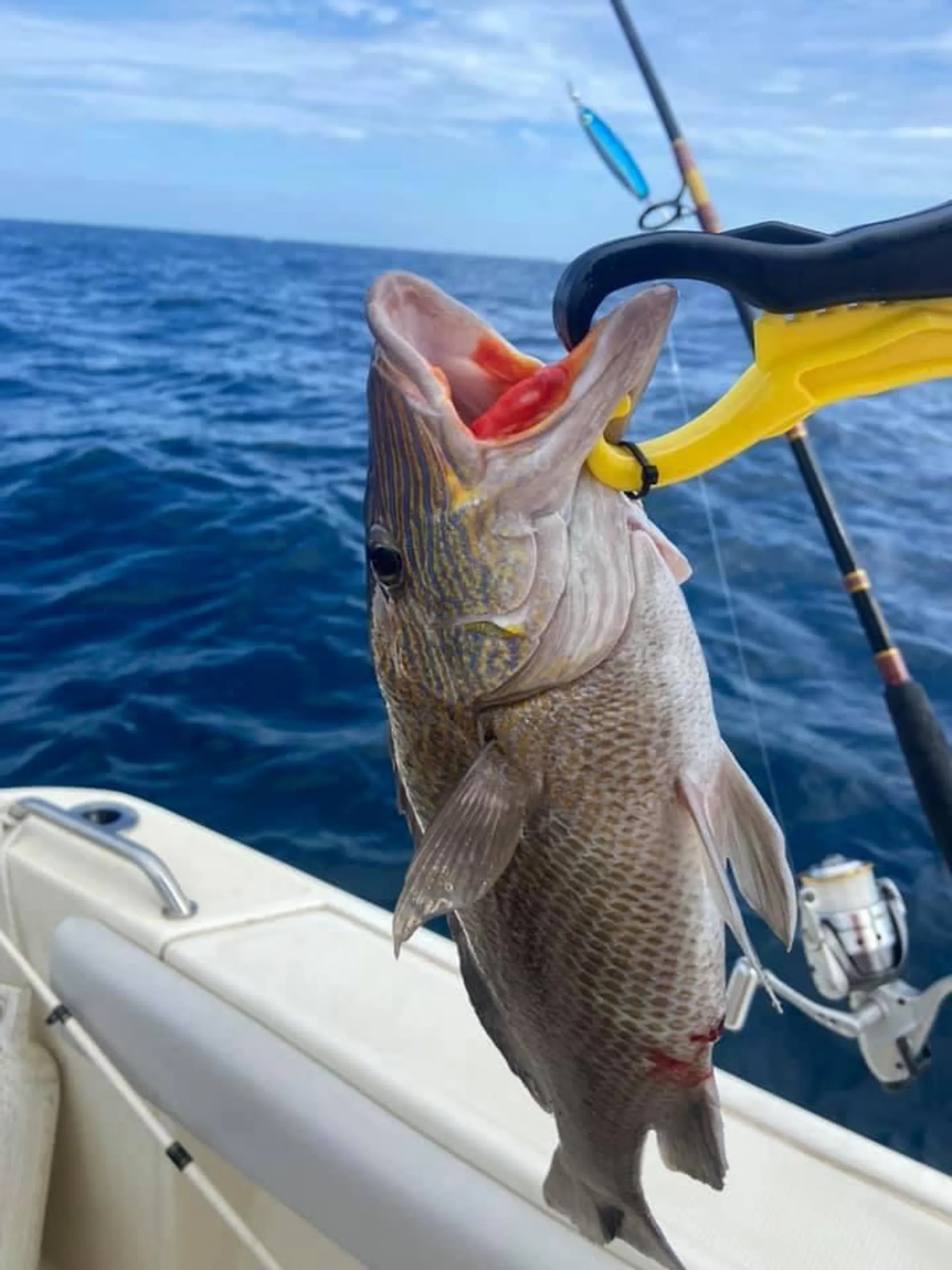MAKO MARINE 204 CC W/150XL 4-S W/TRLR in Vero Beach, FL — photo 3