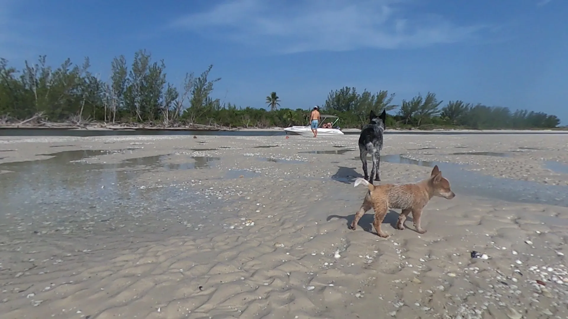 Godfrey Marine Hurricane in Naples, FL — photo 3