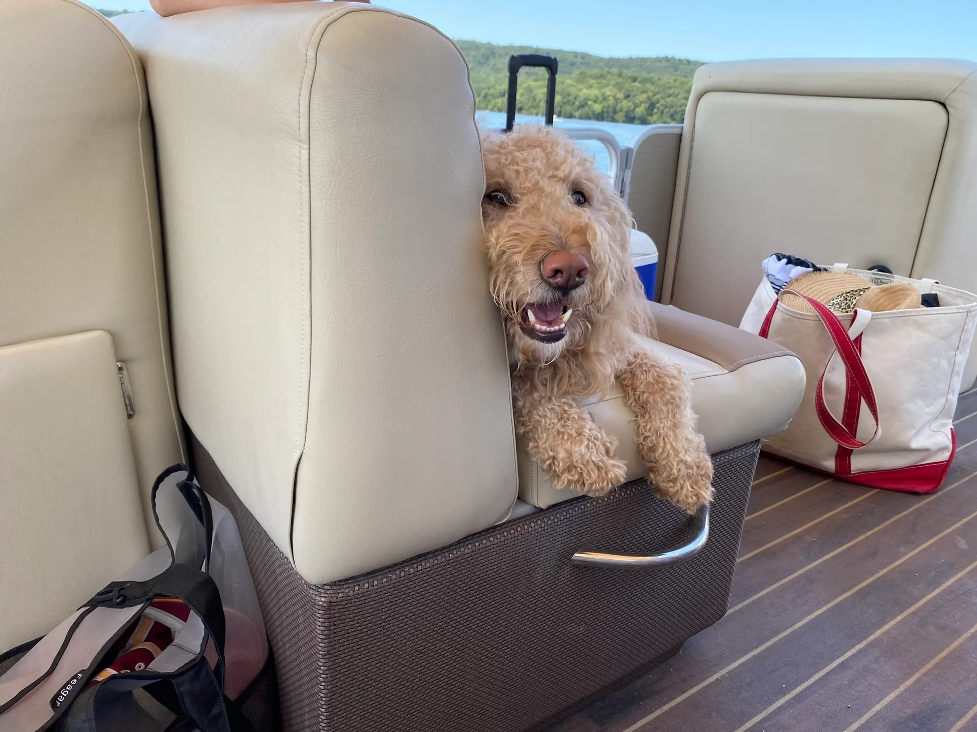 GODFREY MARINE SWEETWATER 220 in Shelby, AL — photo 5