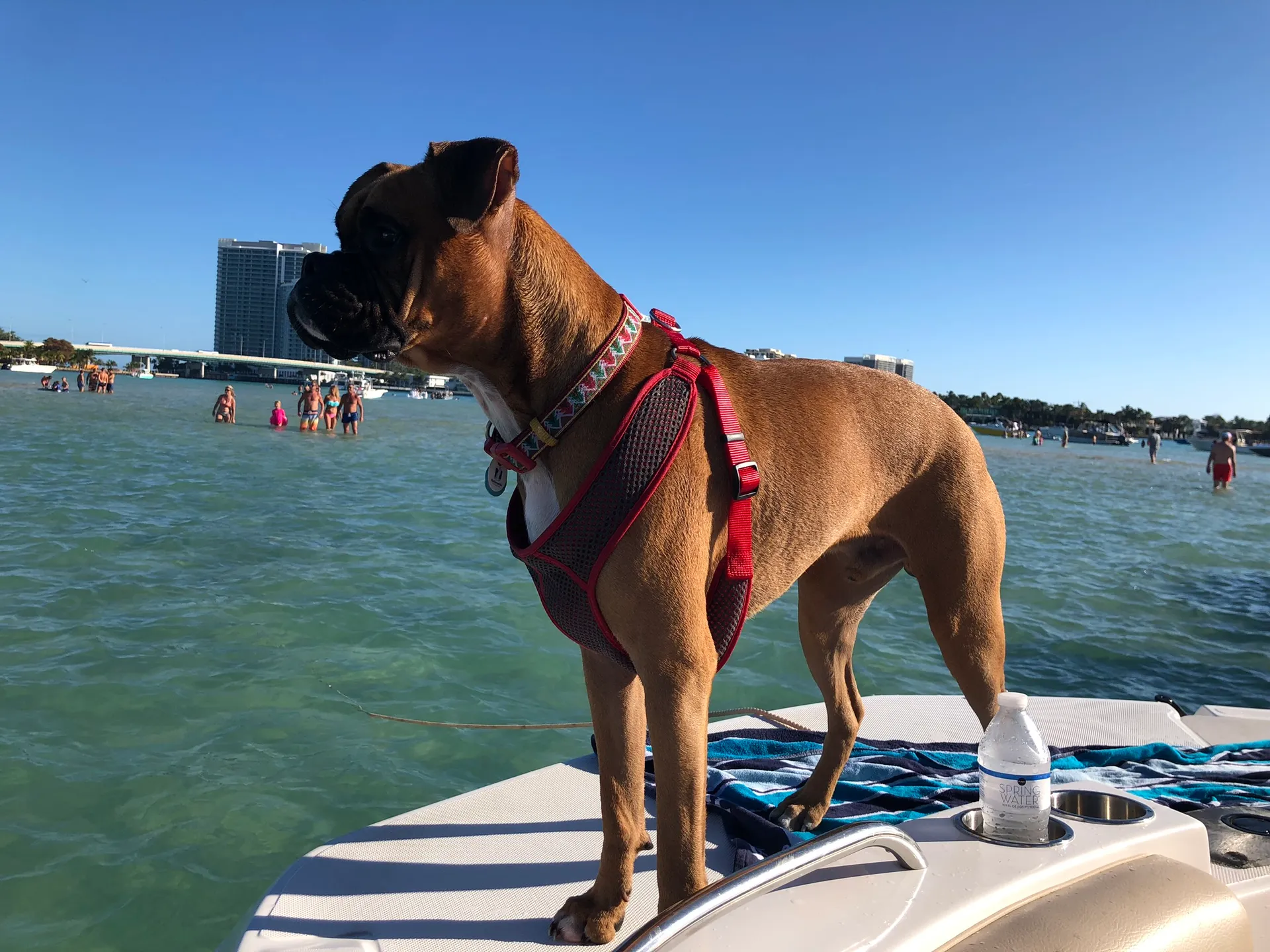 Hurricane Boats SD 187 w/F115XA in Miami, FL — photo 5