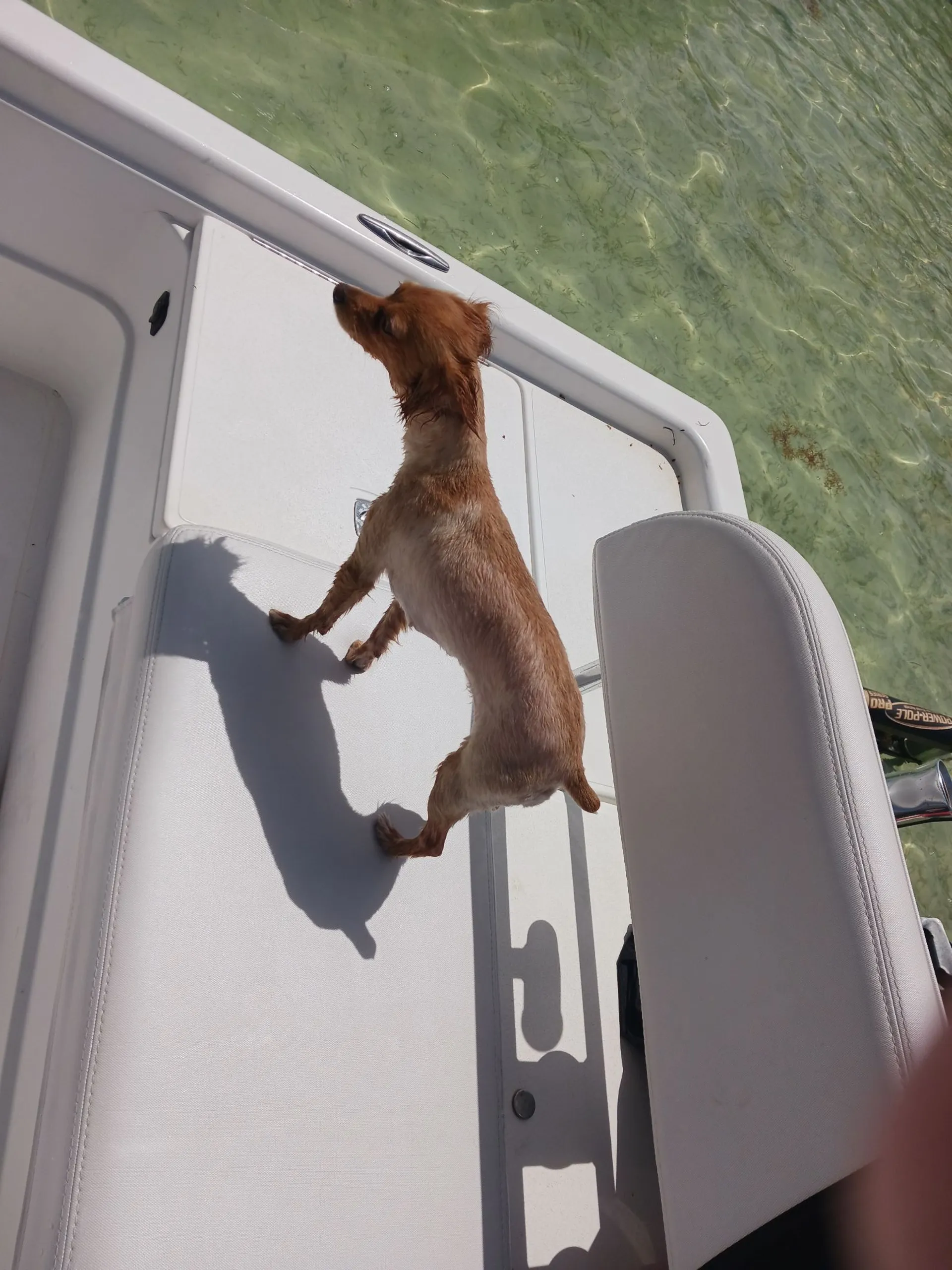 22' Center Console for Lobster, Cruising, Sandbar, Sightseeing!