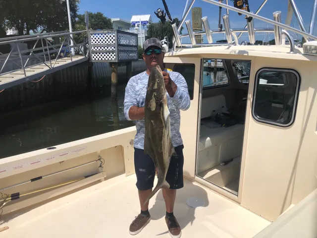 Rent a Parker Marine pilothouse in Norfolk, VA near me