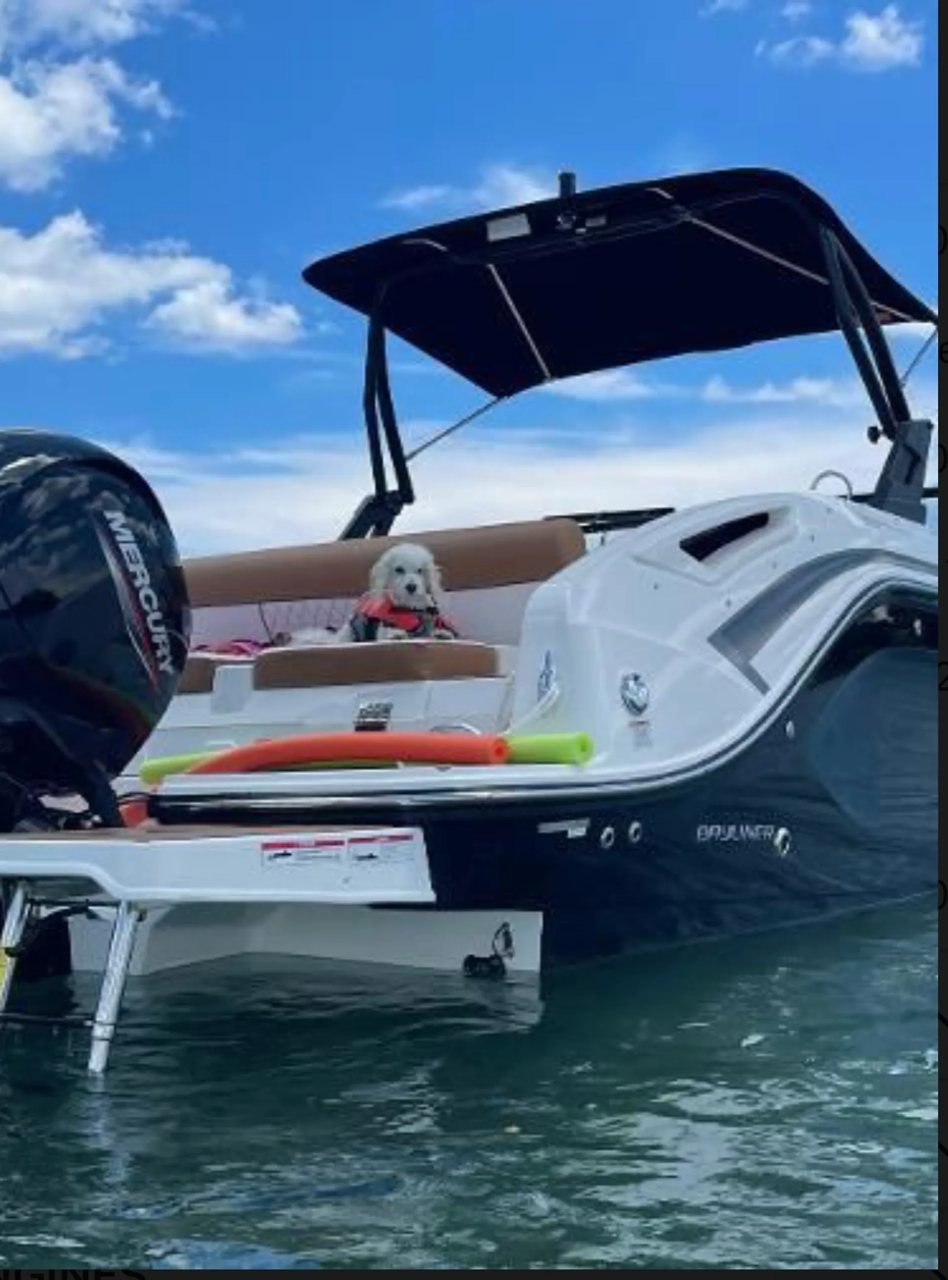 SEA-DOO 150 SPEEDSTER W/TRAILER in Arlington, VA — photo 4