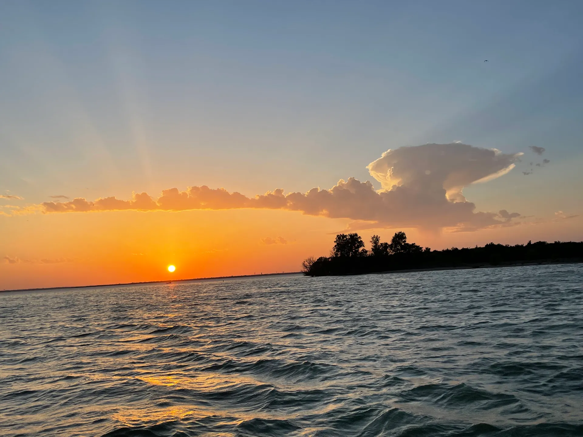 MISTY HARBOR 2585RU ADVENTURE STANDARD in Lewisville, TX — photo 5