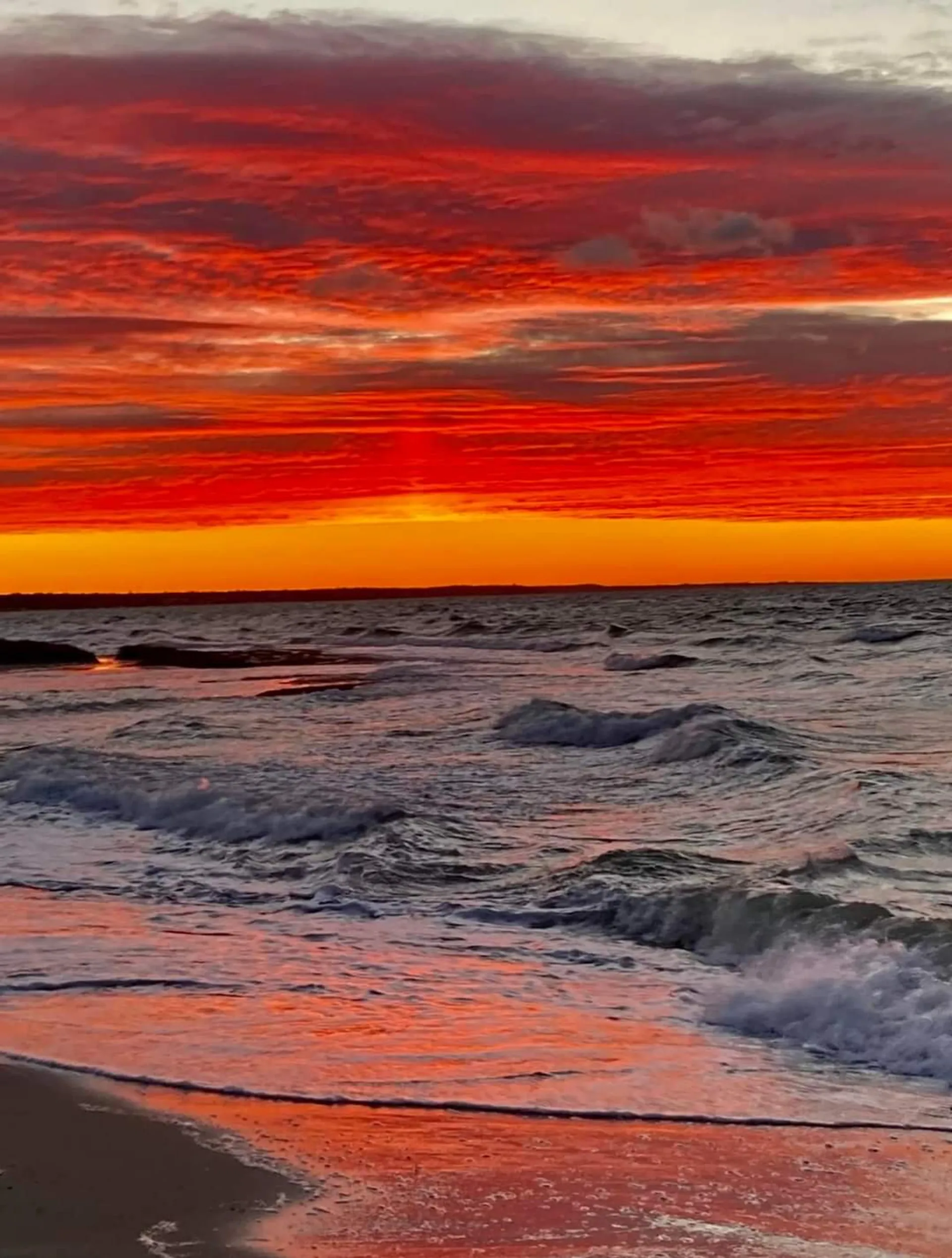 Robalo OB1178963 in Orleans, MA — photo 6