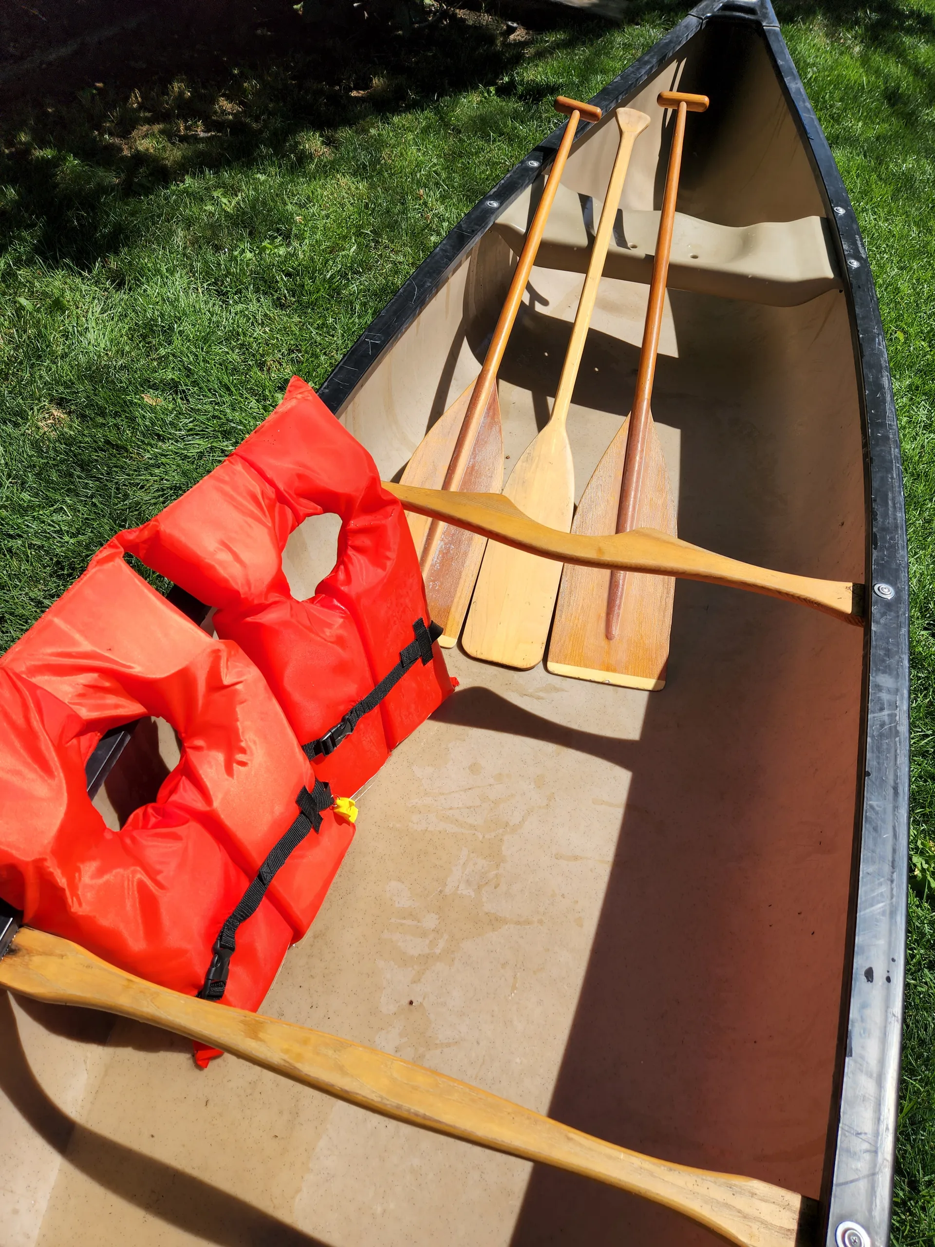 17' Canoe fits 4 people and 2 small dogs