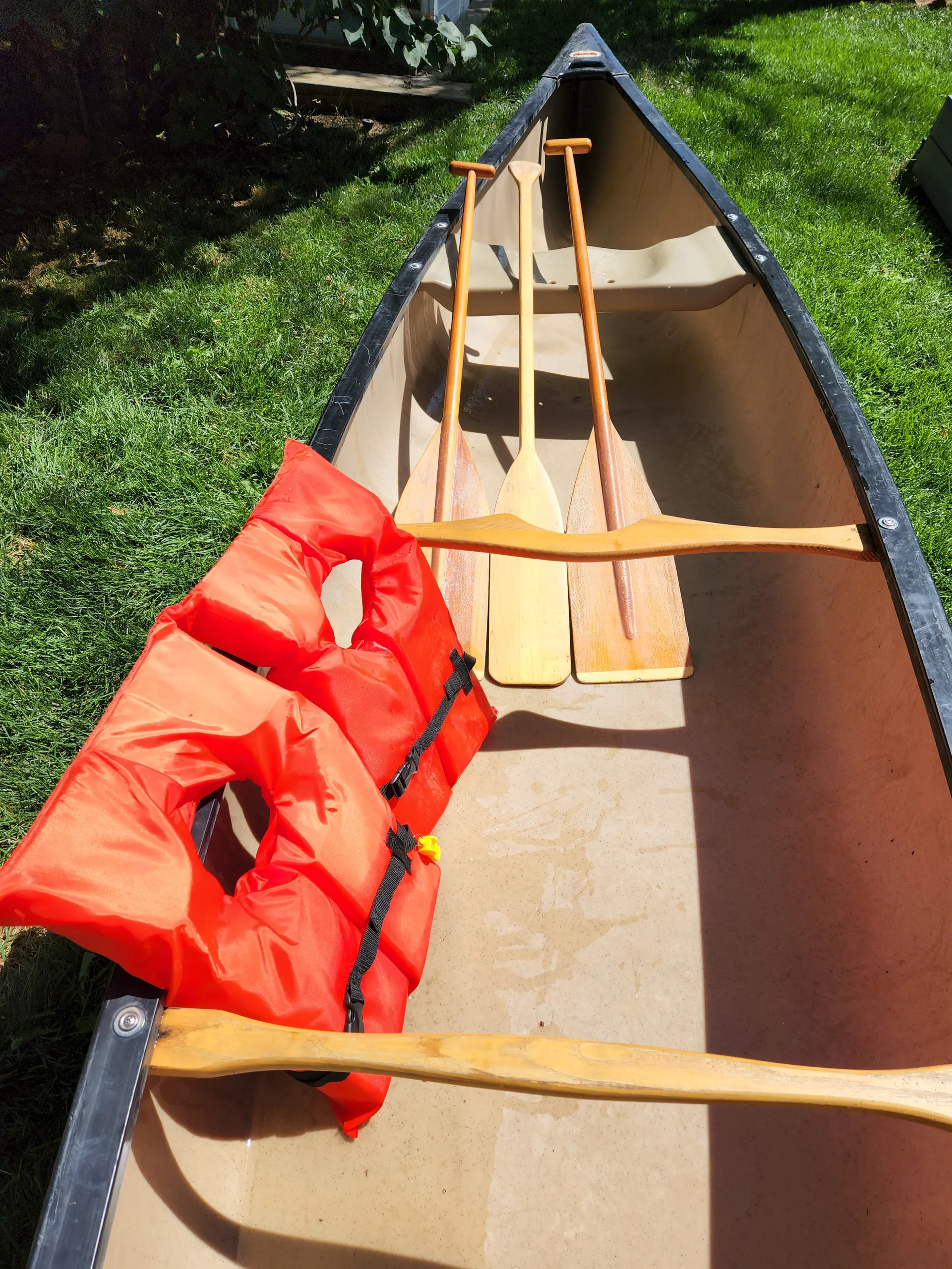 17' Canoe fits 4 people and 2 small dogs